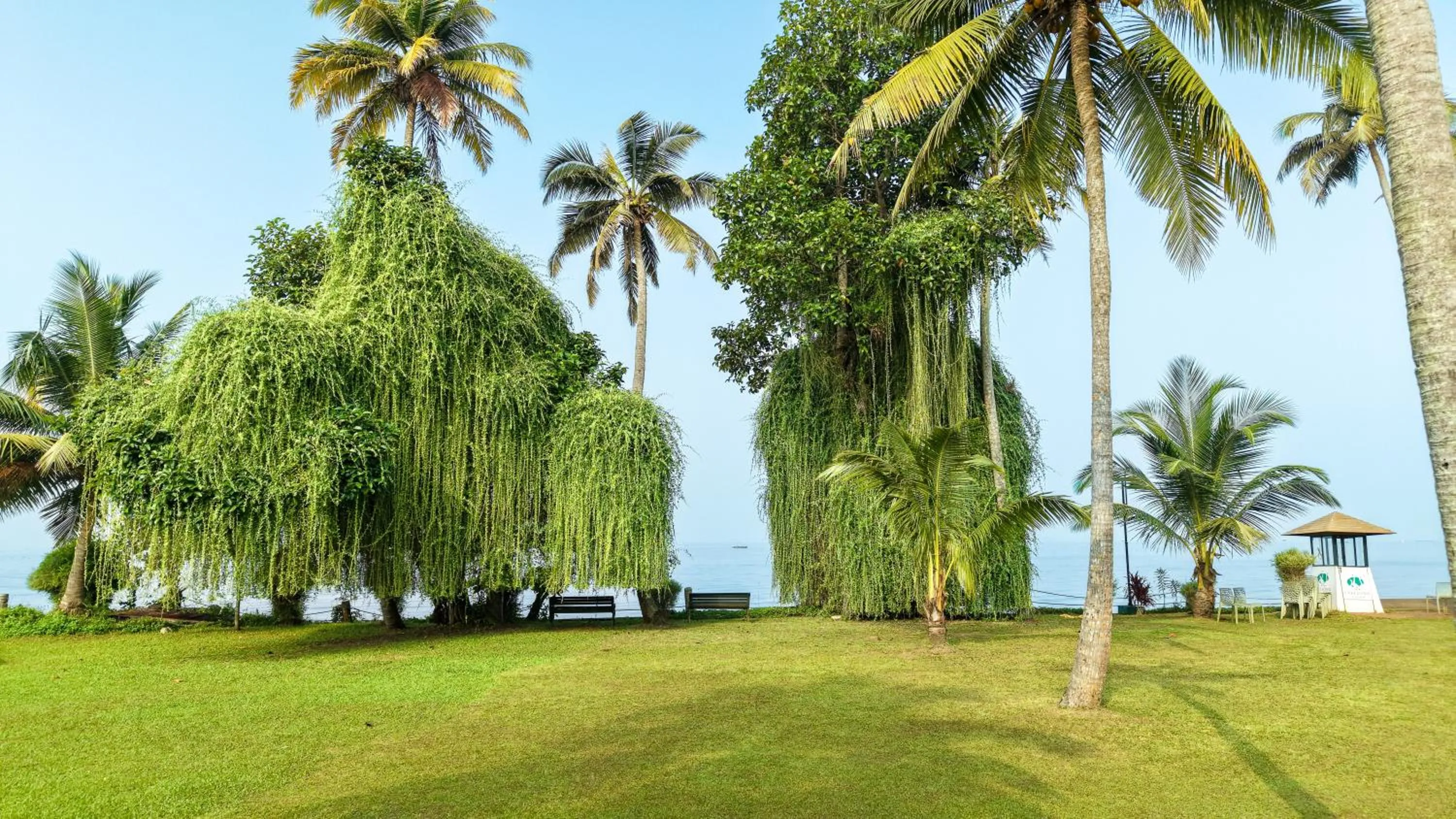 Spring in Lakesong Resort