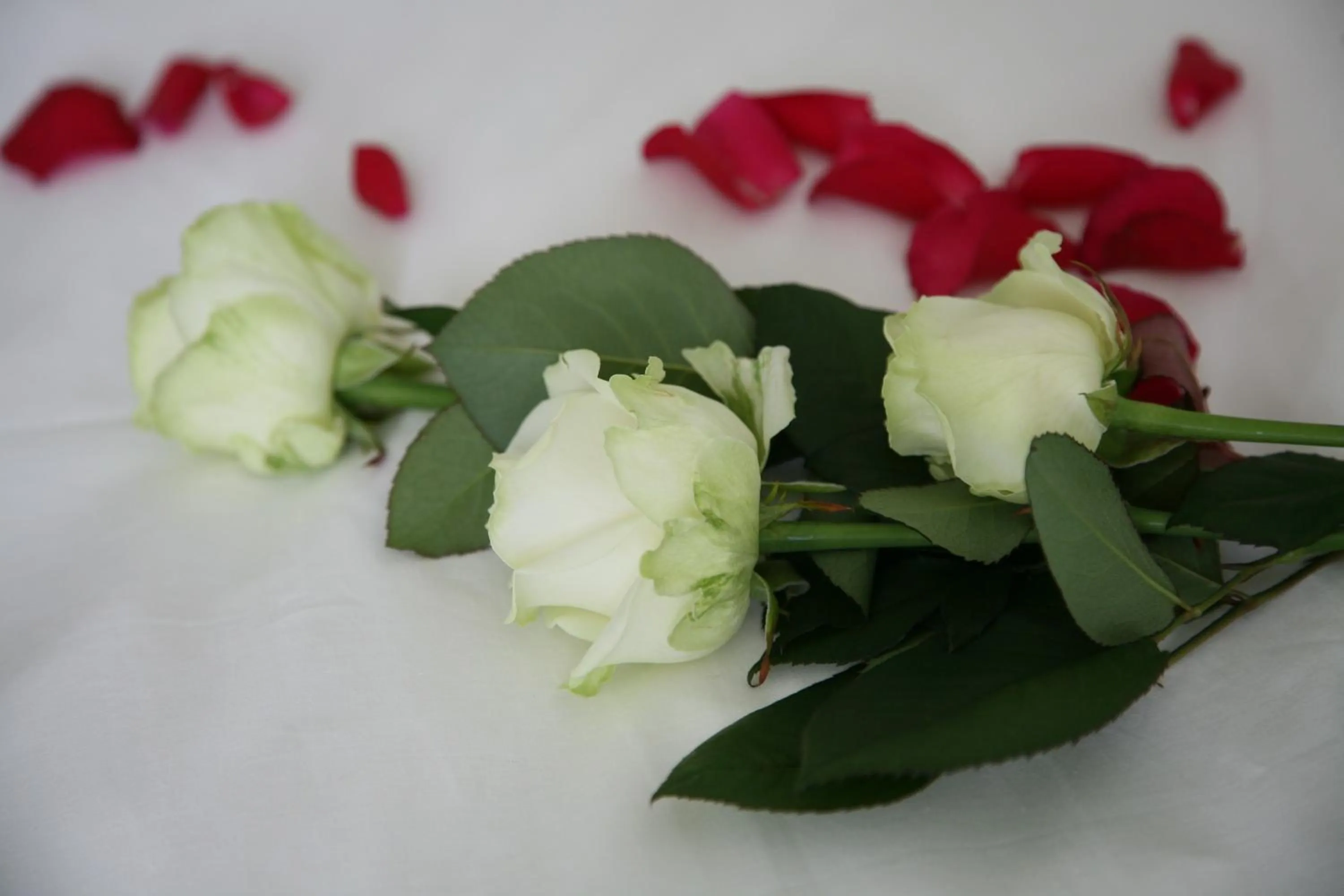 Decorative detail in B&B Kanegem Onverbloemd