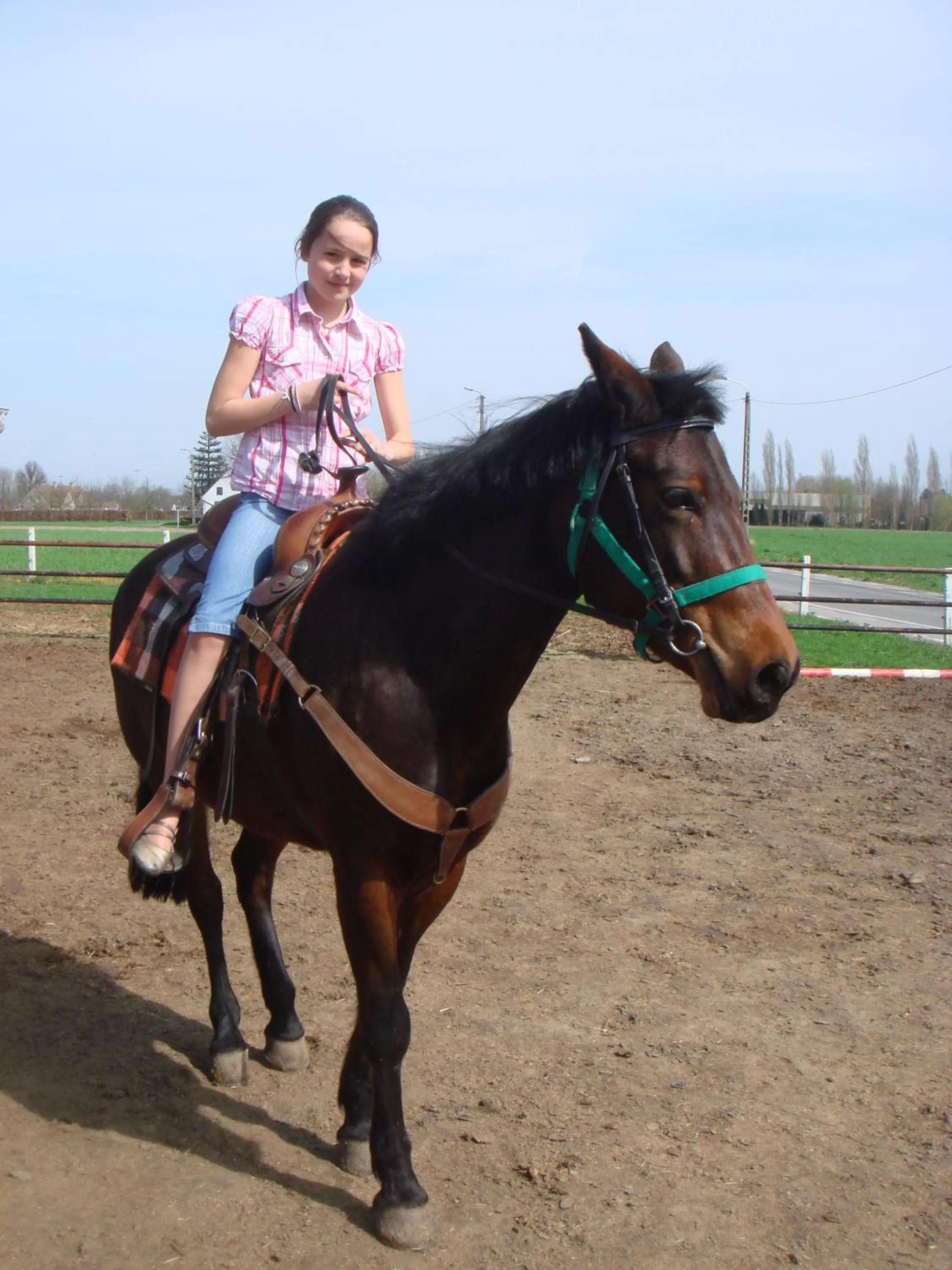 Horse-riding in B&B Kanegem Onverbloemd