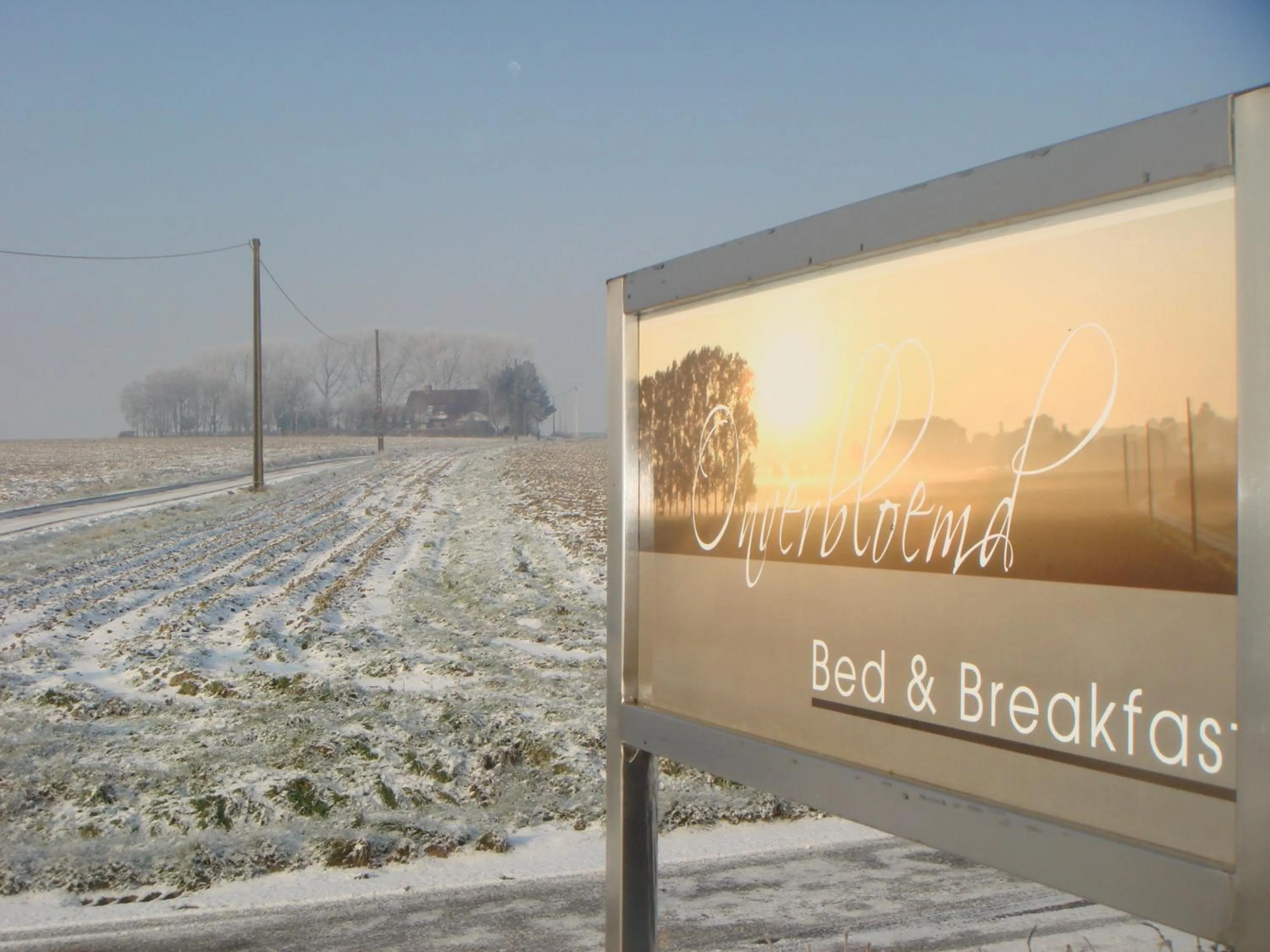 View (from property/room) in B&B Kanegem Onverbloemd