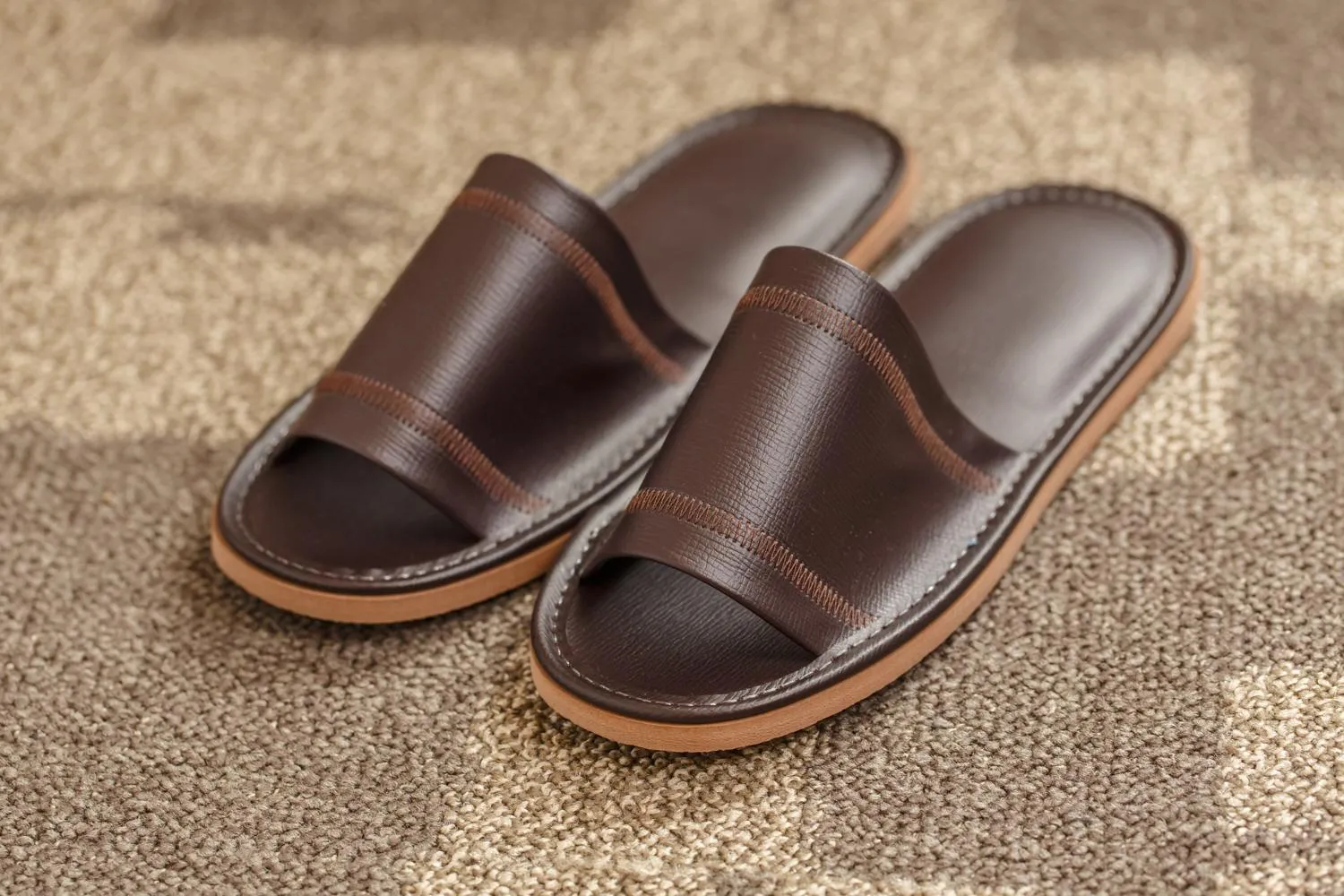 Other in Rembrandt Style Yokohama Kannai