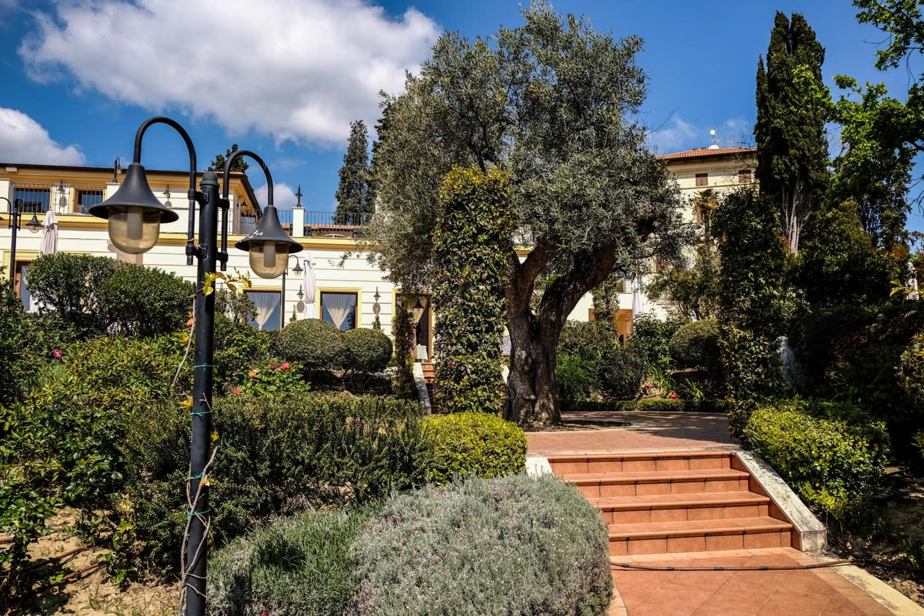 Natural landscape in L'Antico Uliveto