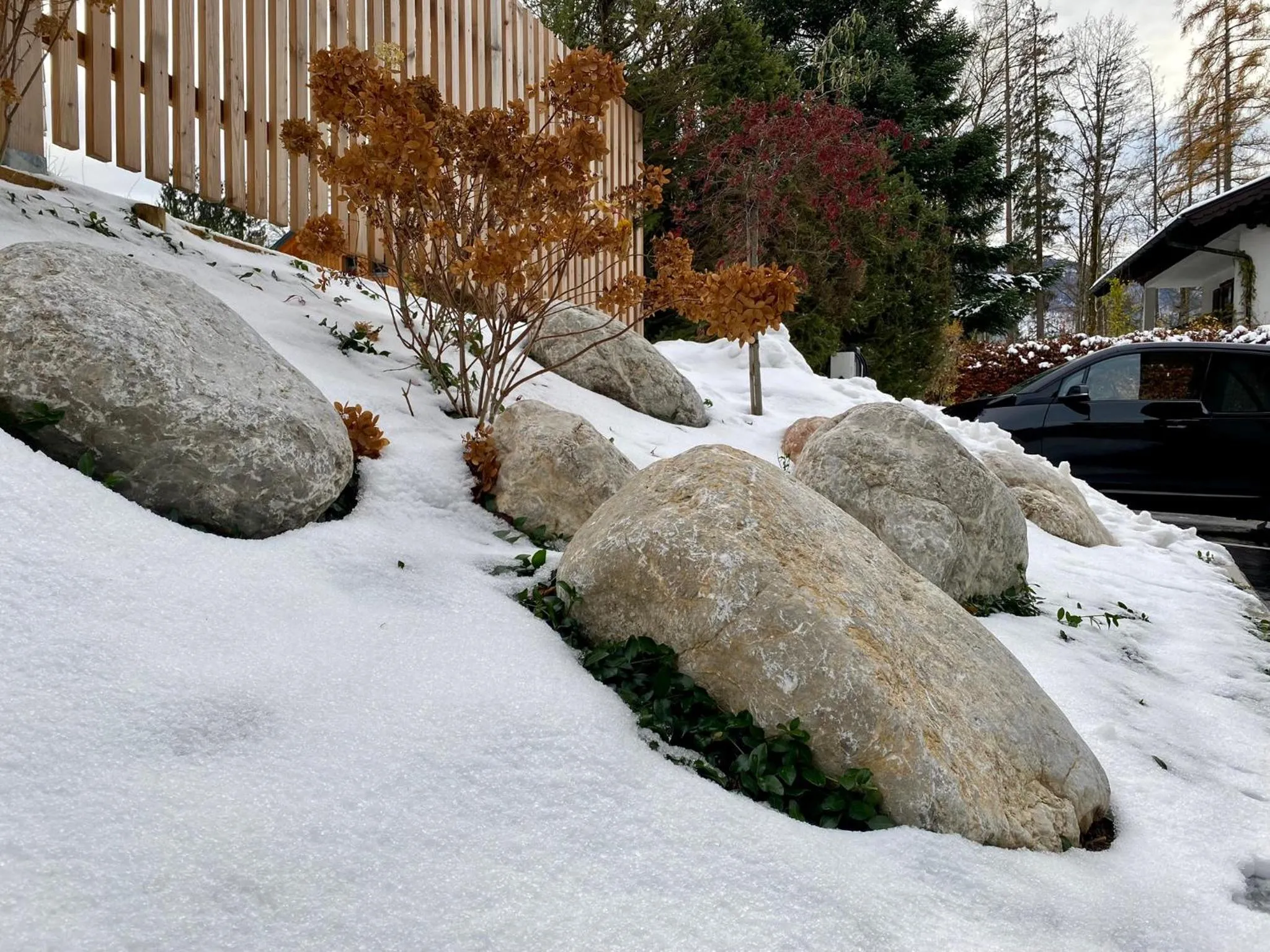 Garden in Wolf & Schaf Apartments