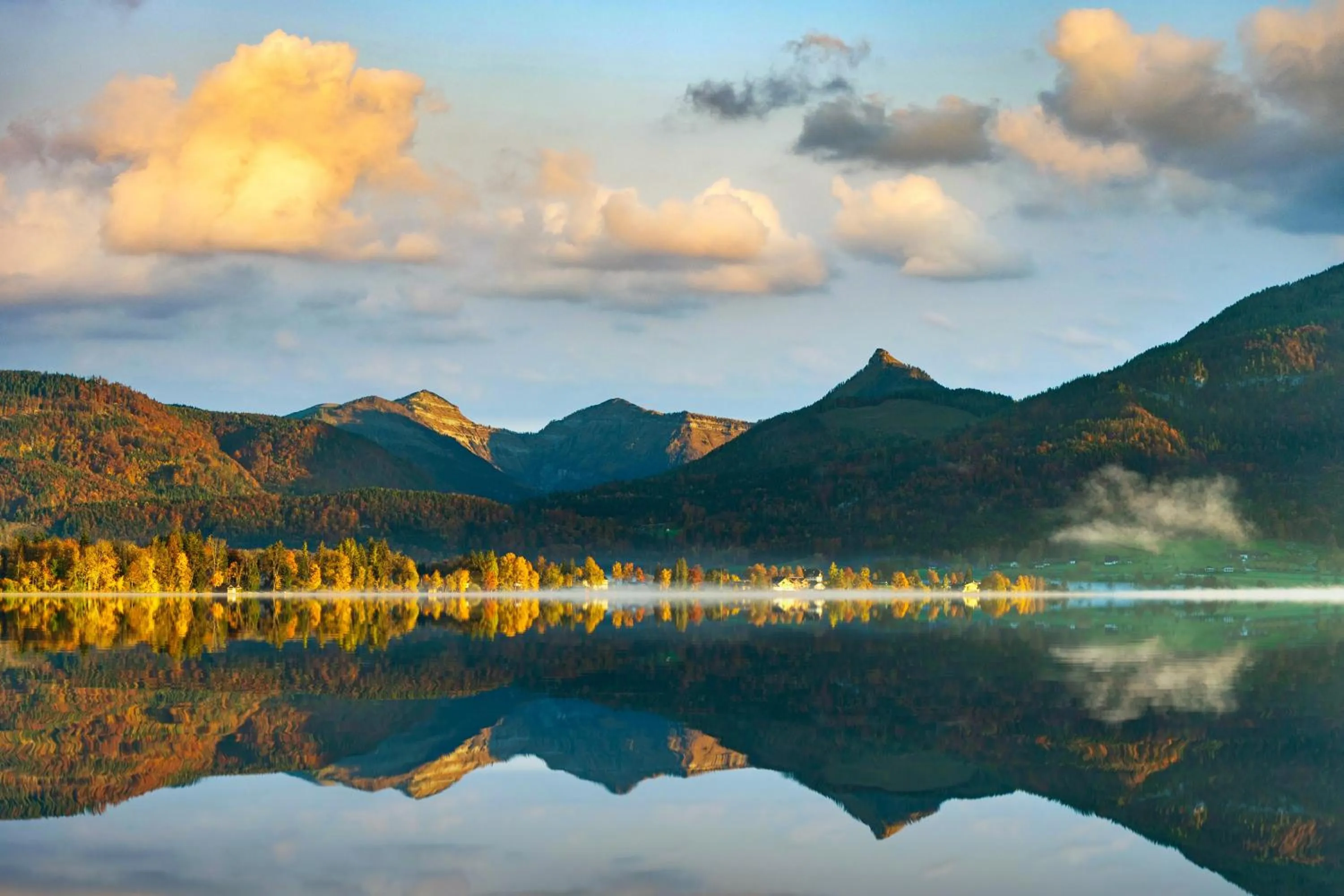 Neighbourhood in Wolf & Schaf Apartments