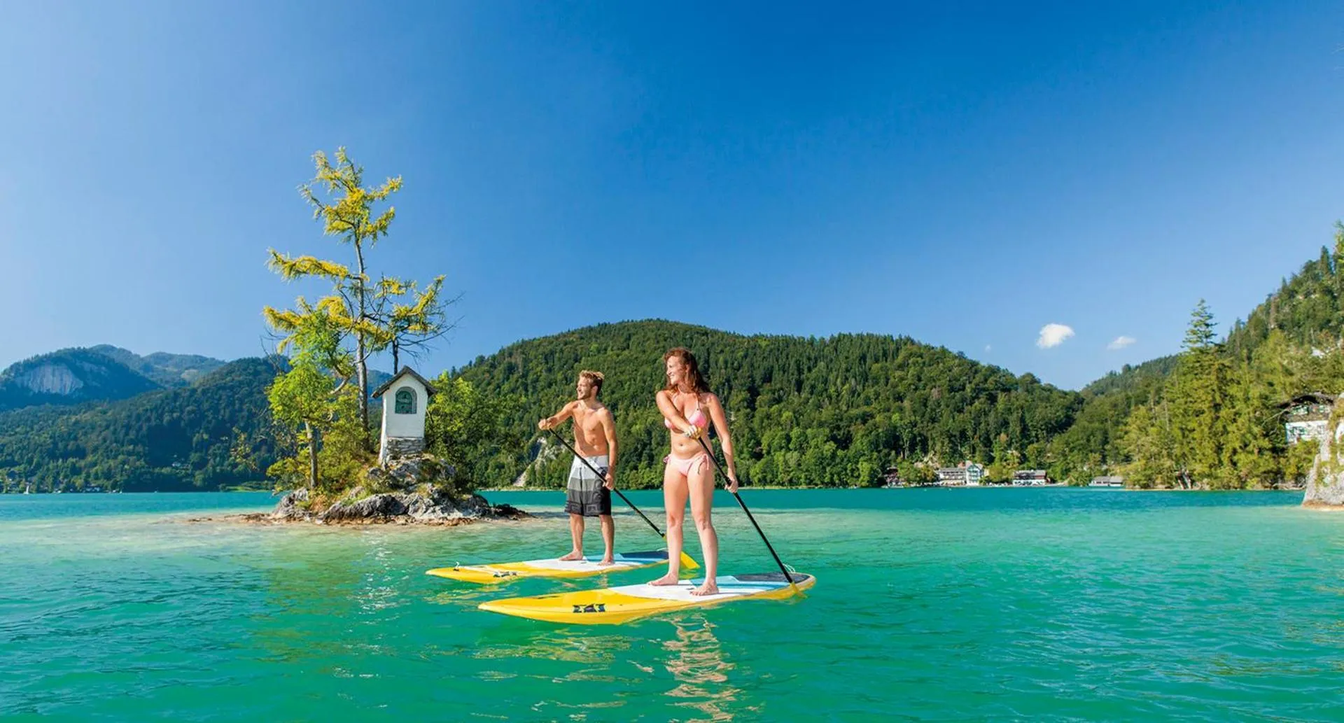 Neighbourhood in Wolf & Schaf Apartments