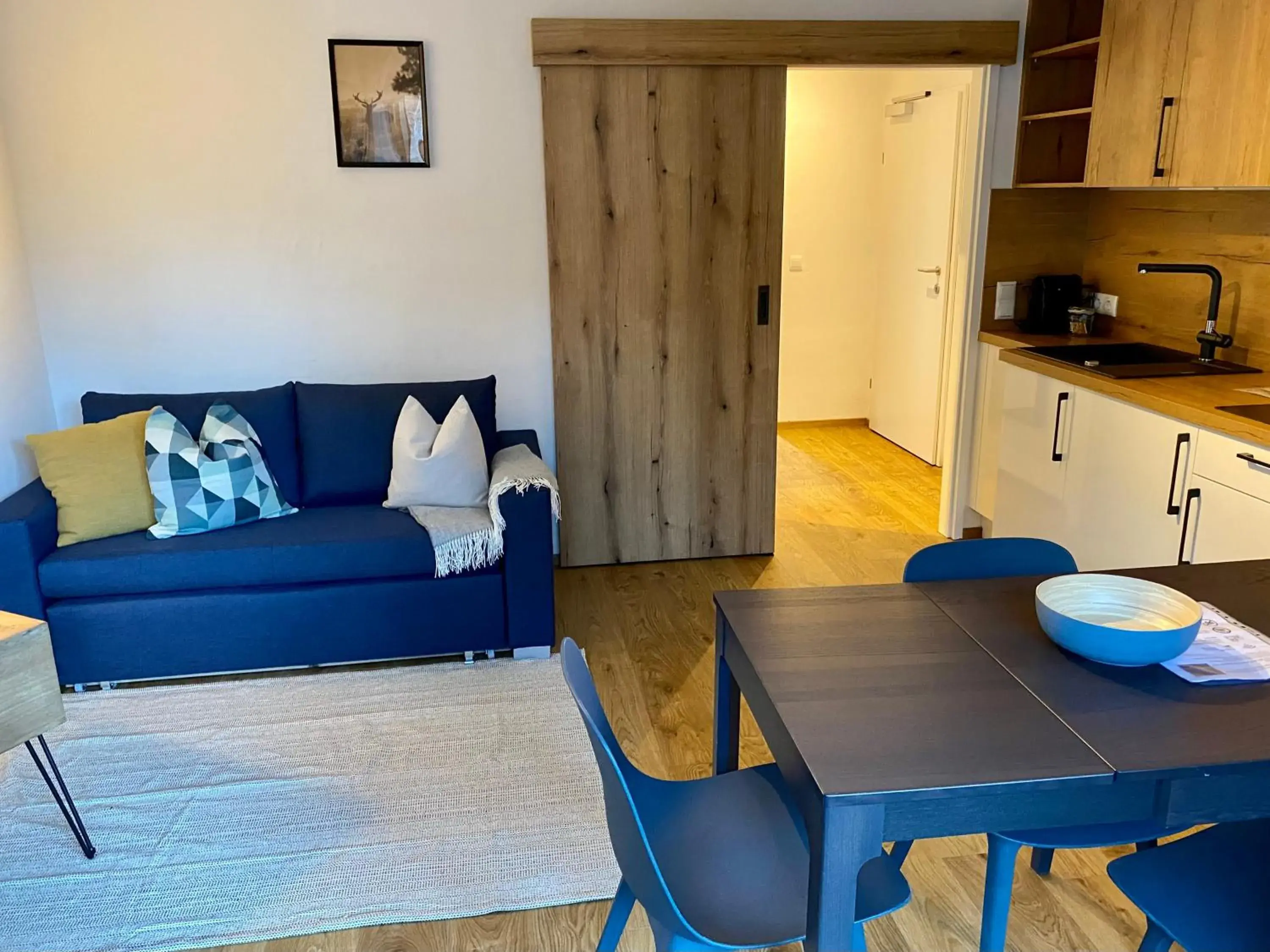 Living room in Wolf & Schaf Apartments Living room in Wolf & Schaf Apartments