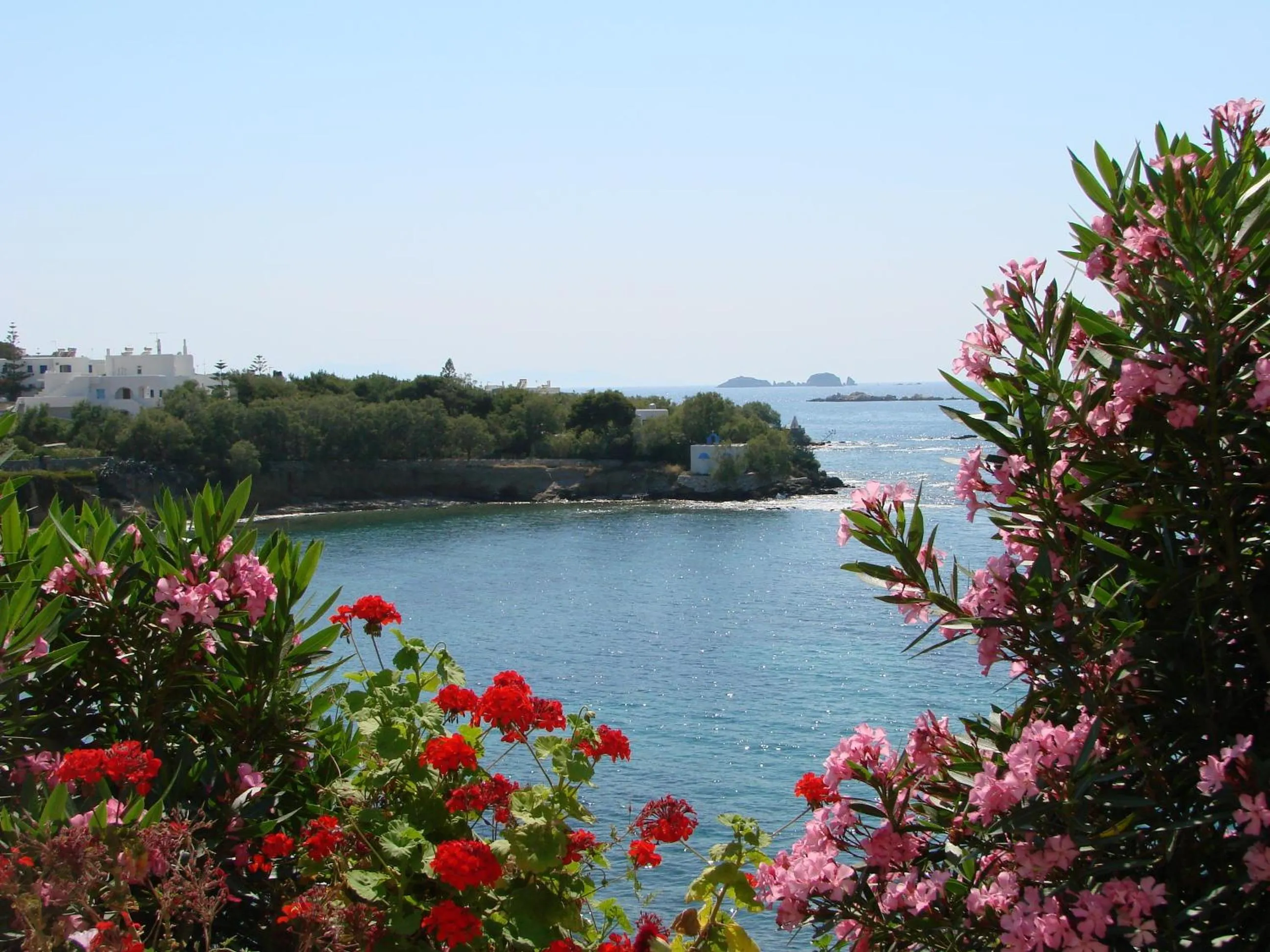 View (from property/room) in Nikolas Hotel