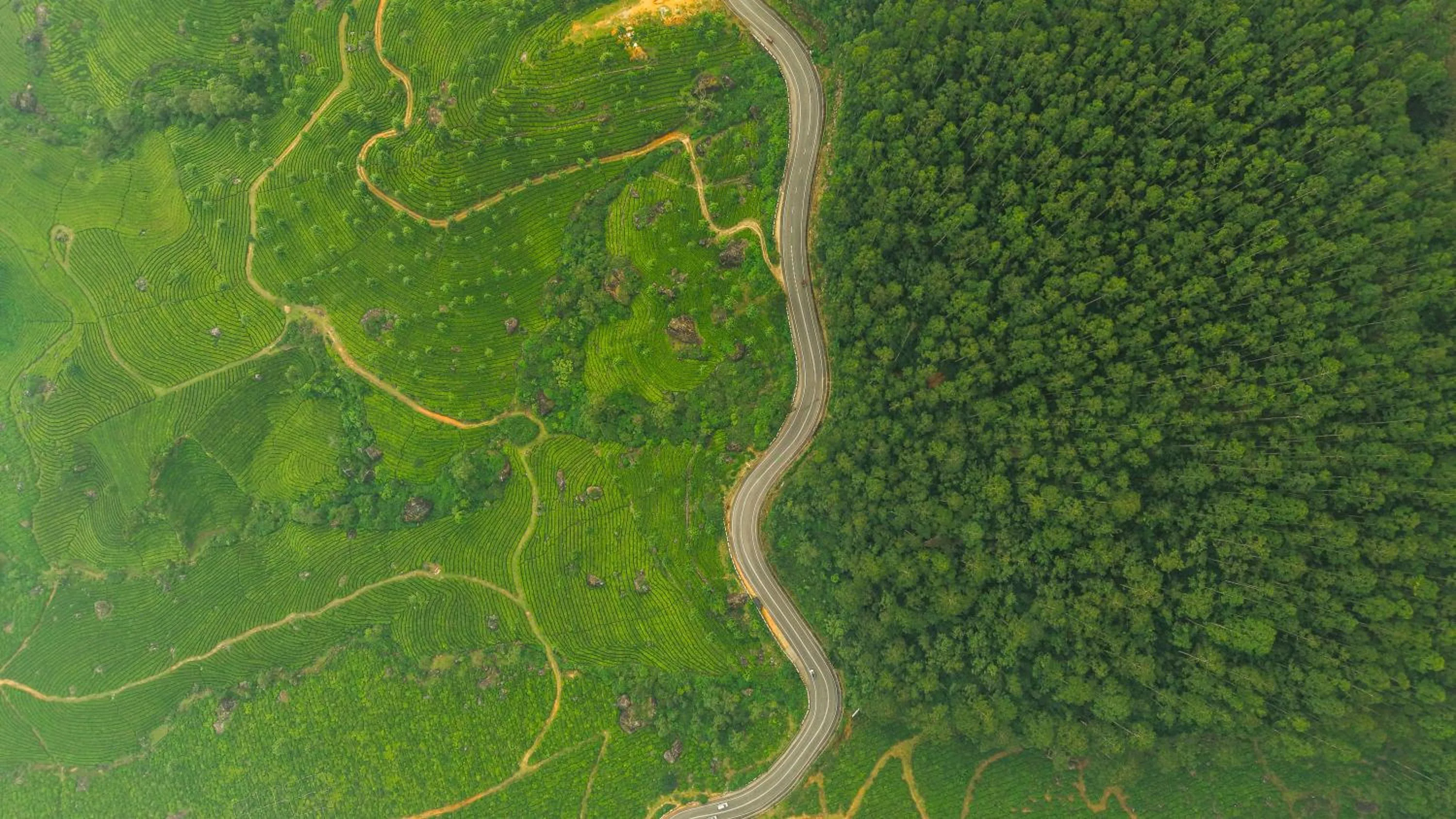 Day in Eastend Munnar