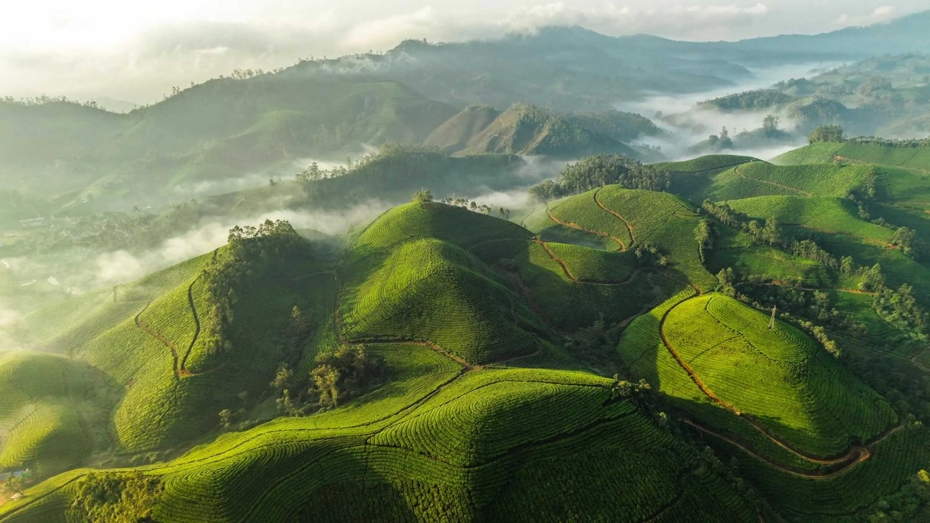 Nearby landmark in Eastend Munnar