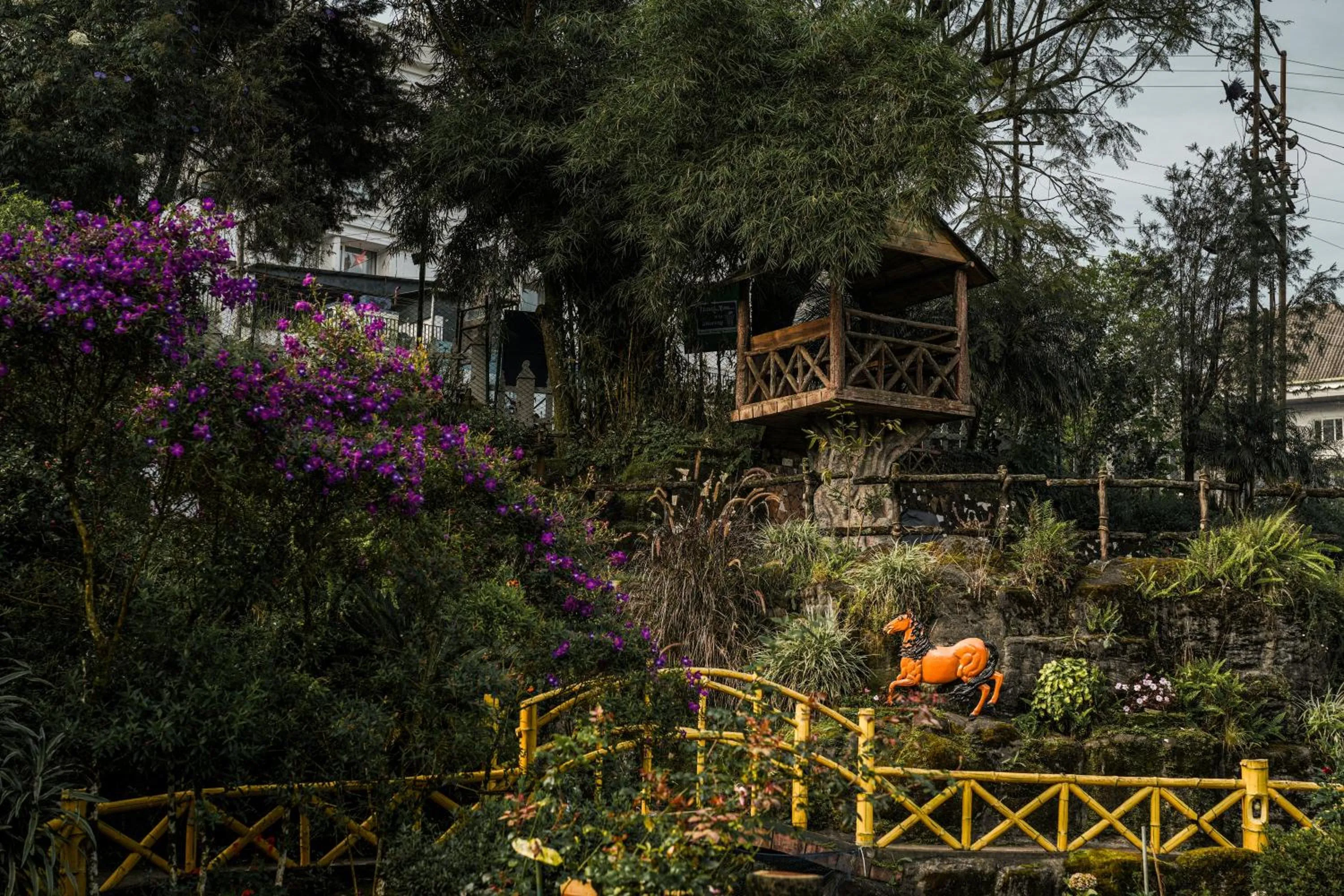 Spring in Eastend Munnar
