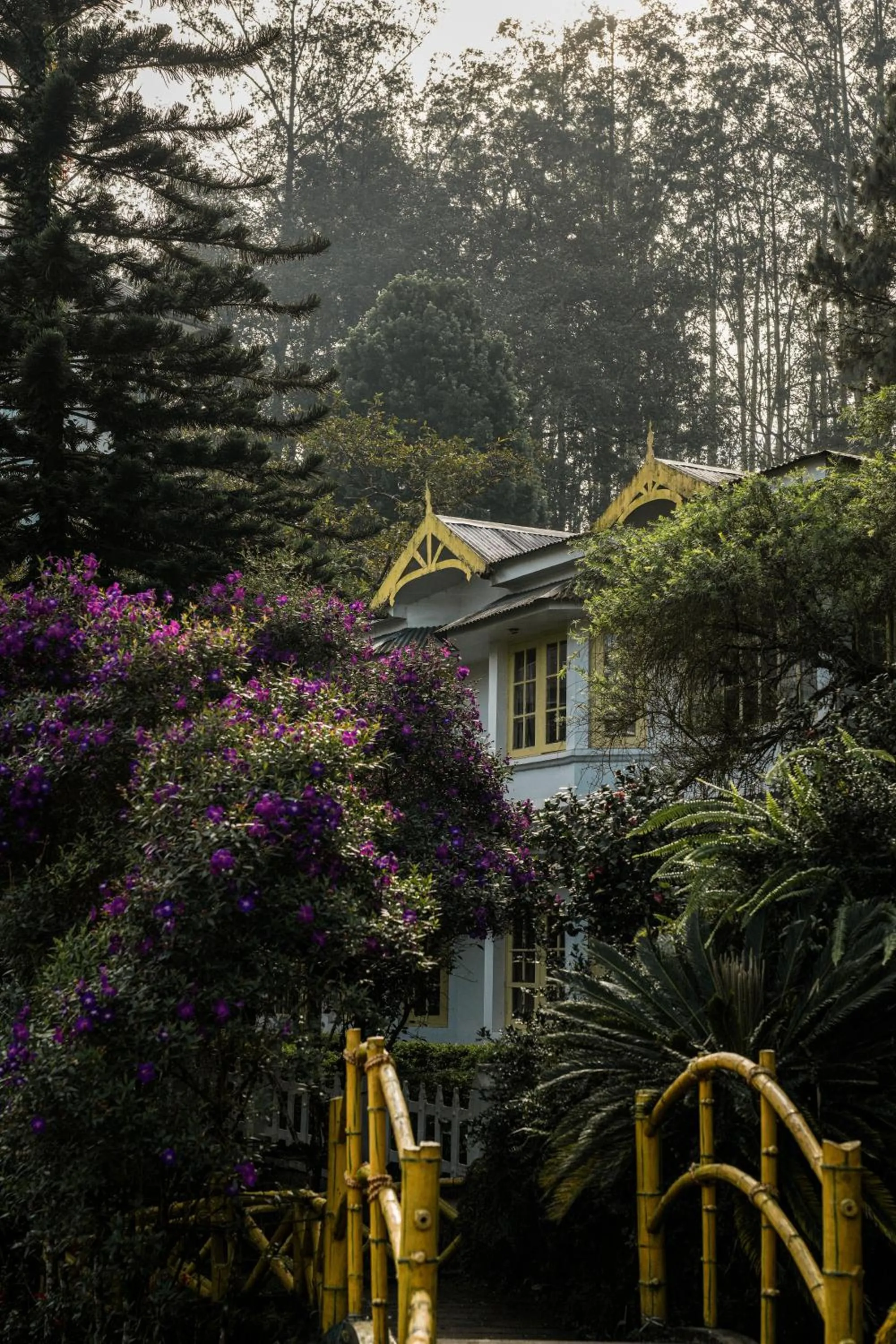 Property building in Eastend Munnar