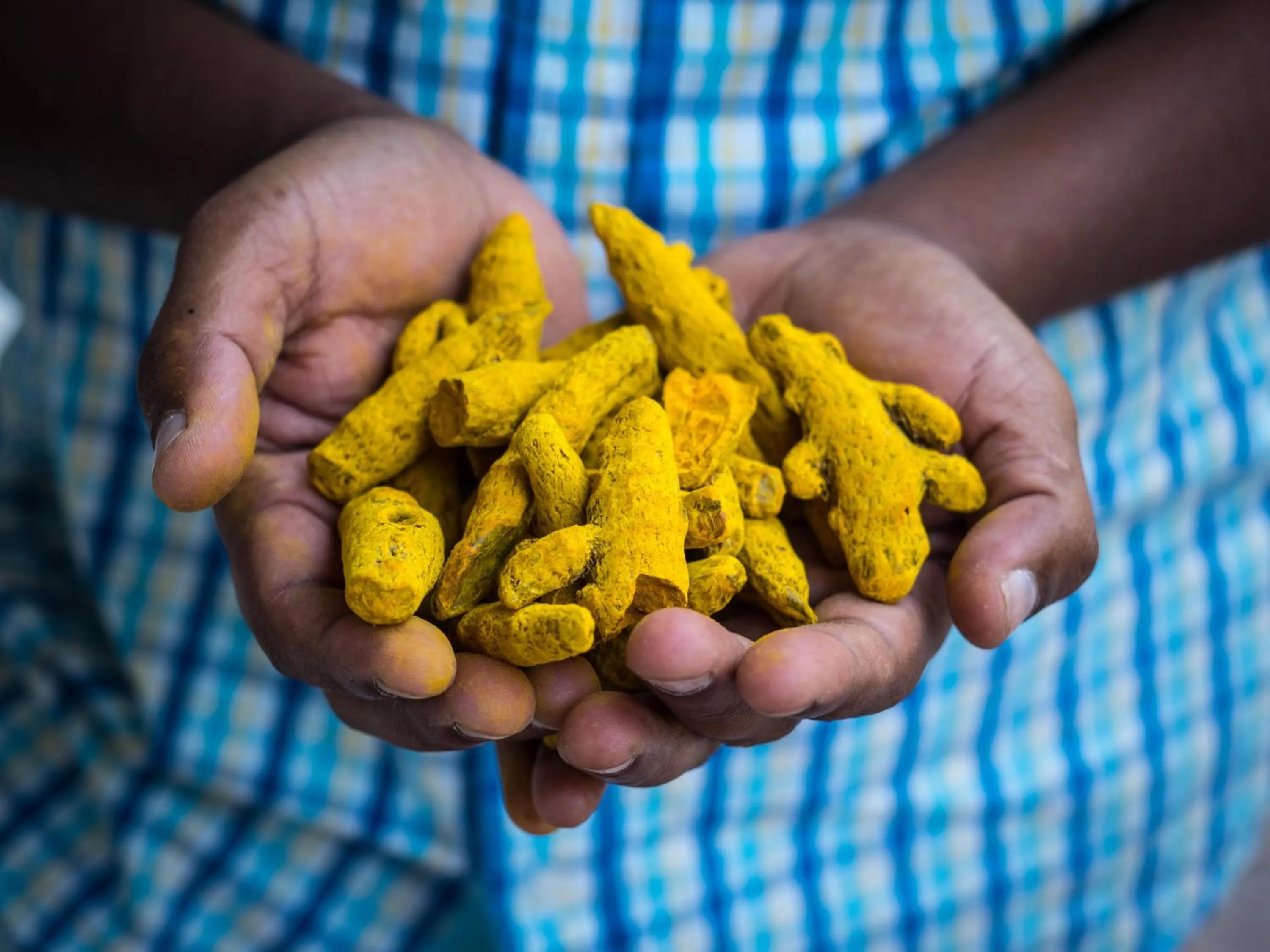 Area and facilities in Spice Village Thekkady - A CGH Earth Experience