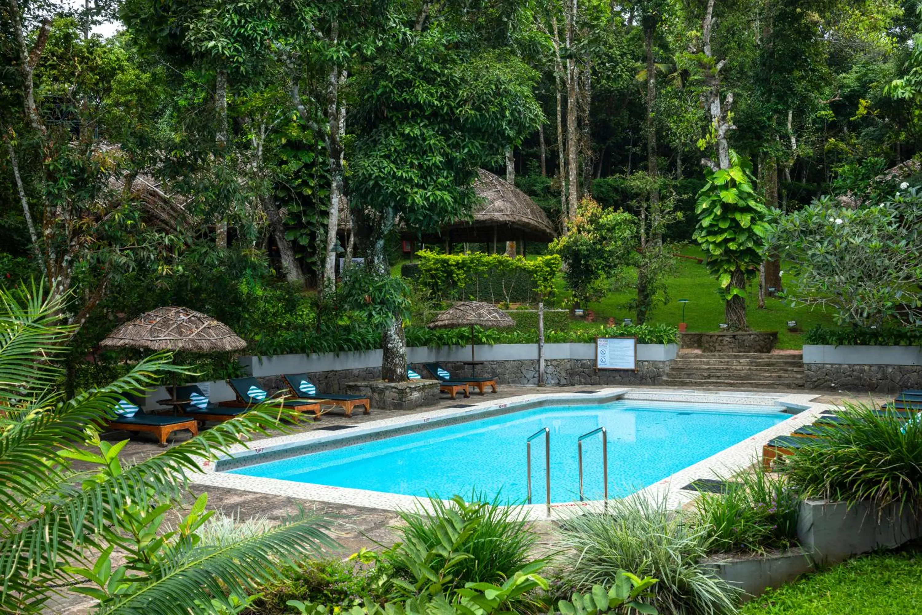 Natural landscape in Spice Village Thekkady - A CGH Earth Experience