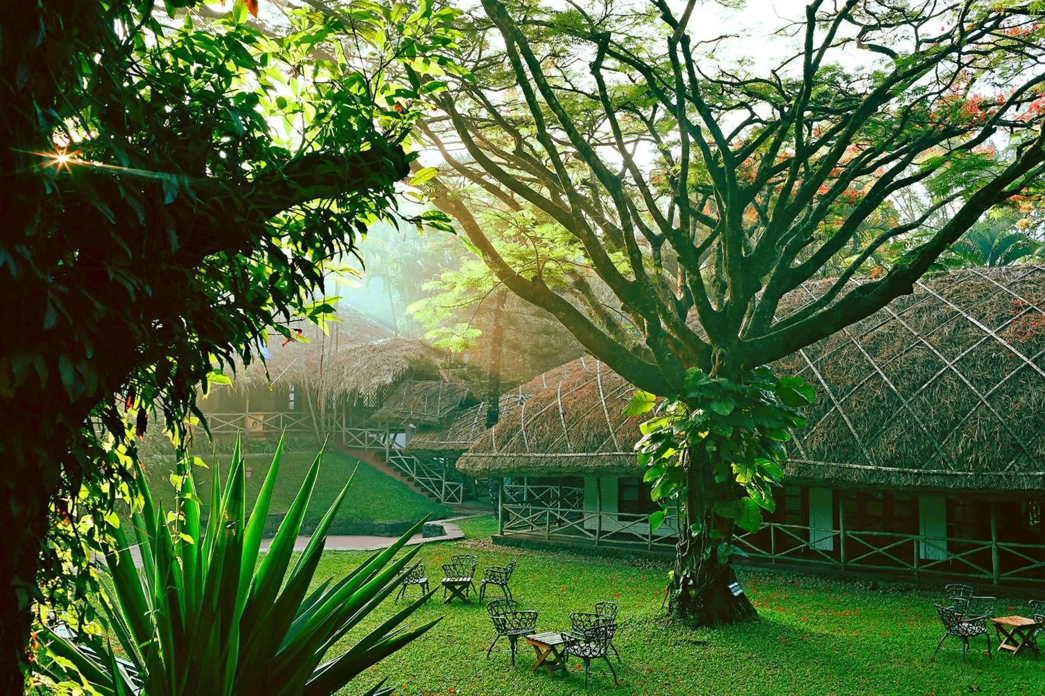 Spring in Spice Village Thekkady - A CGH Earth Experience