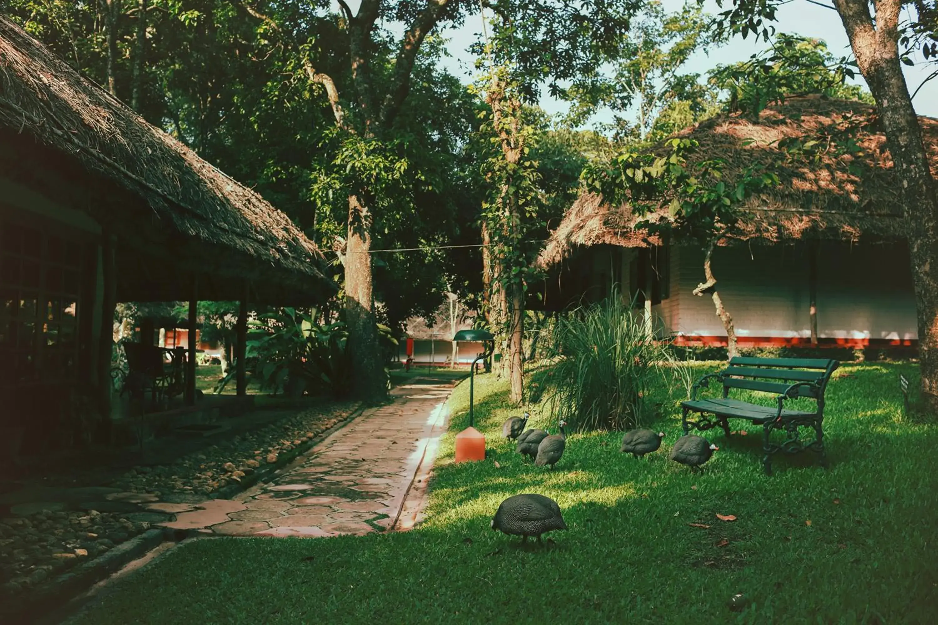 Property building in Spice Village Thekkady - A CGH Earth Experience Property building in Spice Village Thekkady - A CGH Earth Experience
