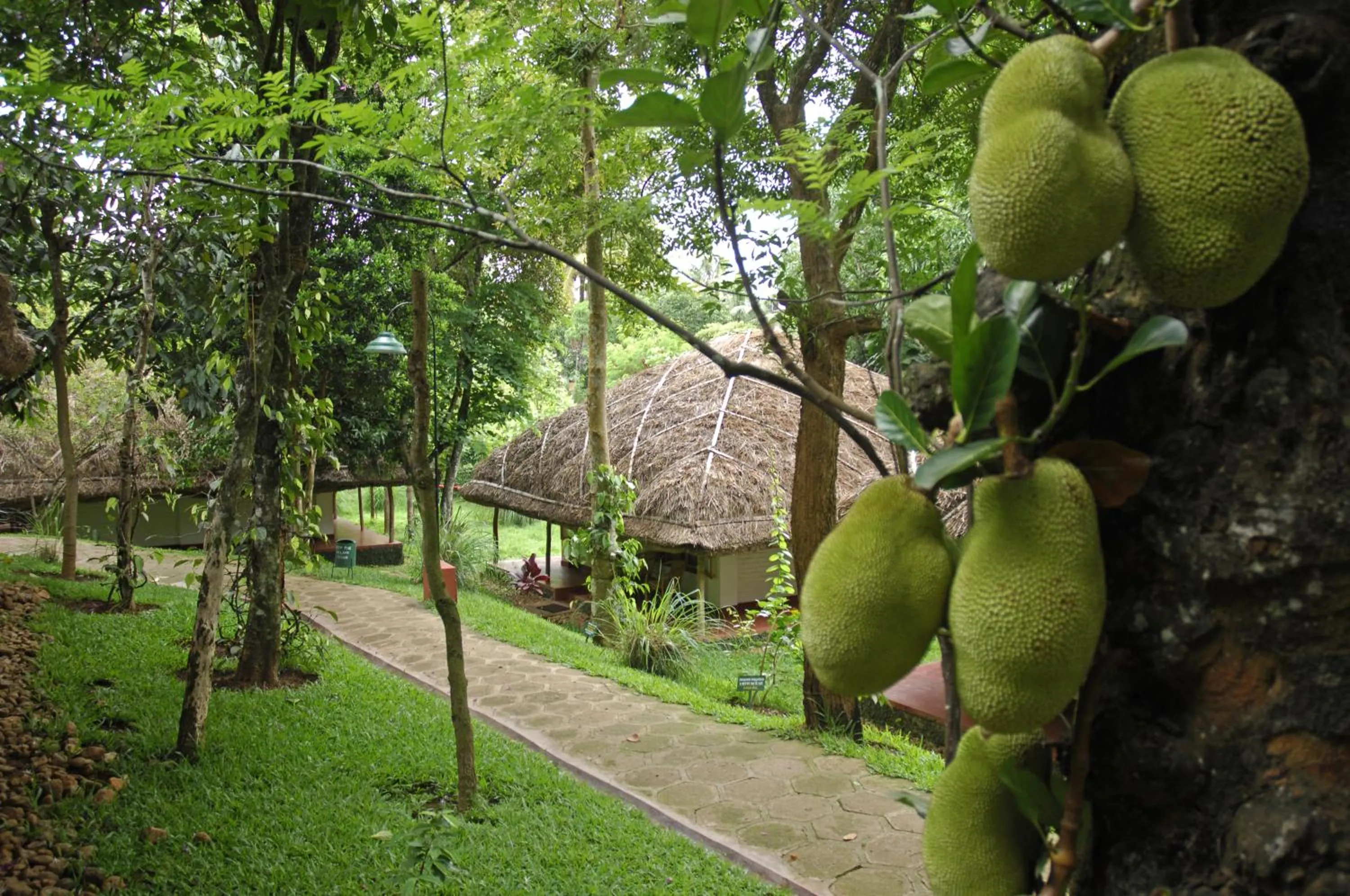 Area and facilities in Spice Village Thekkady - A CGH Earth Experience