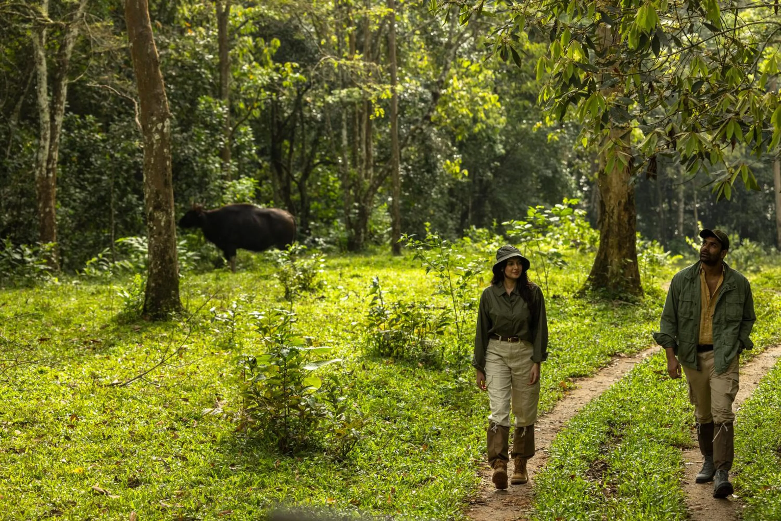 Natural landscape in Spice Village Thekkady - A CGH Earth Experience
