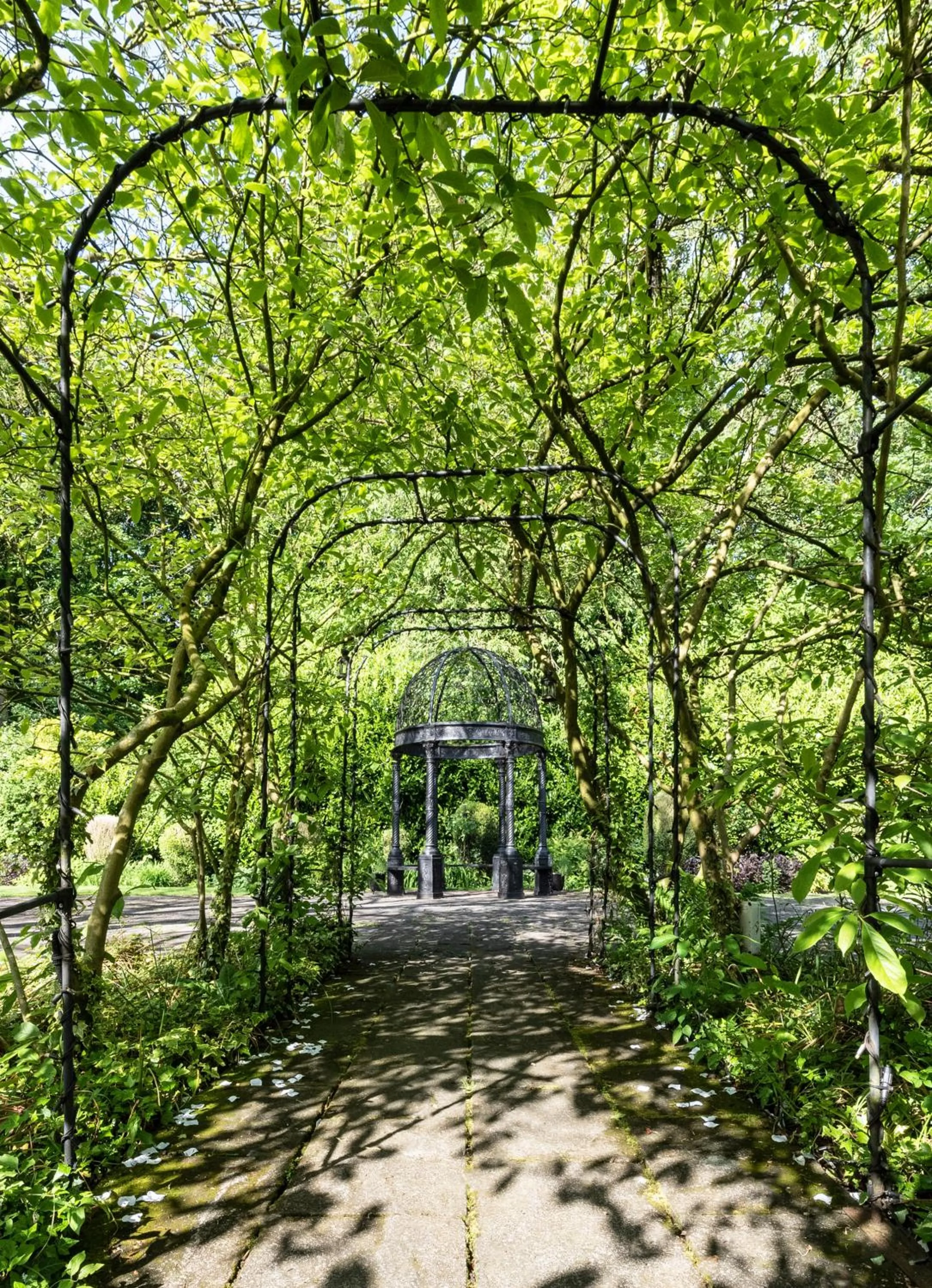 Natural landscape in Statham Lodge Hotel