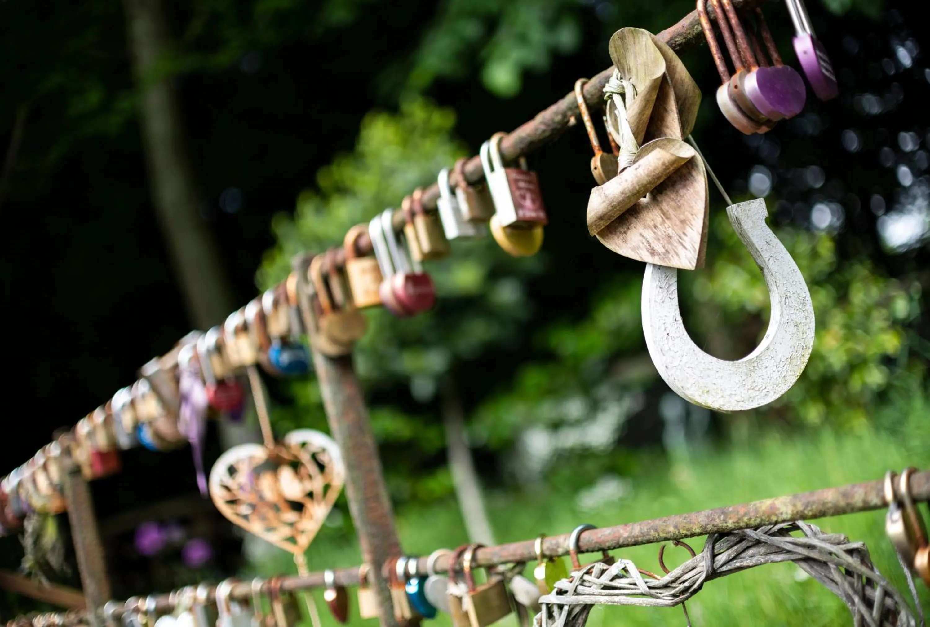 Garden in Statham Lodge Hotel