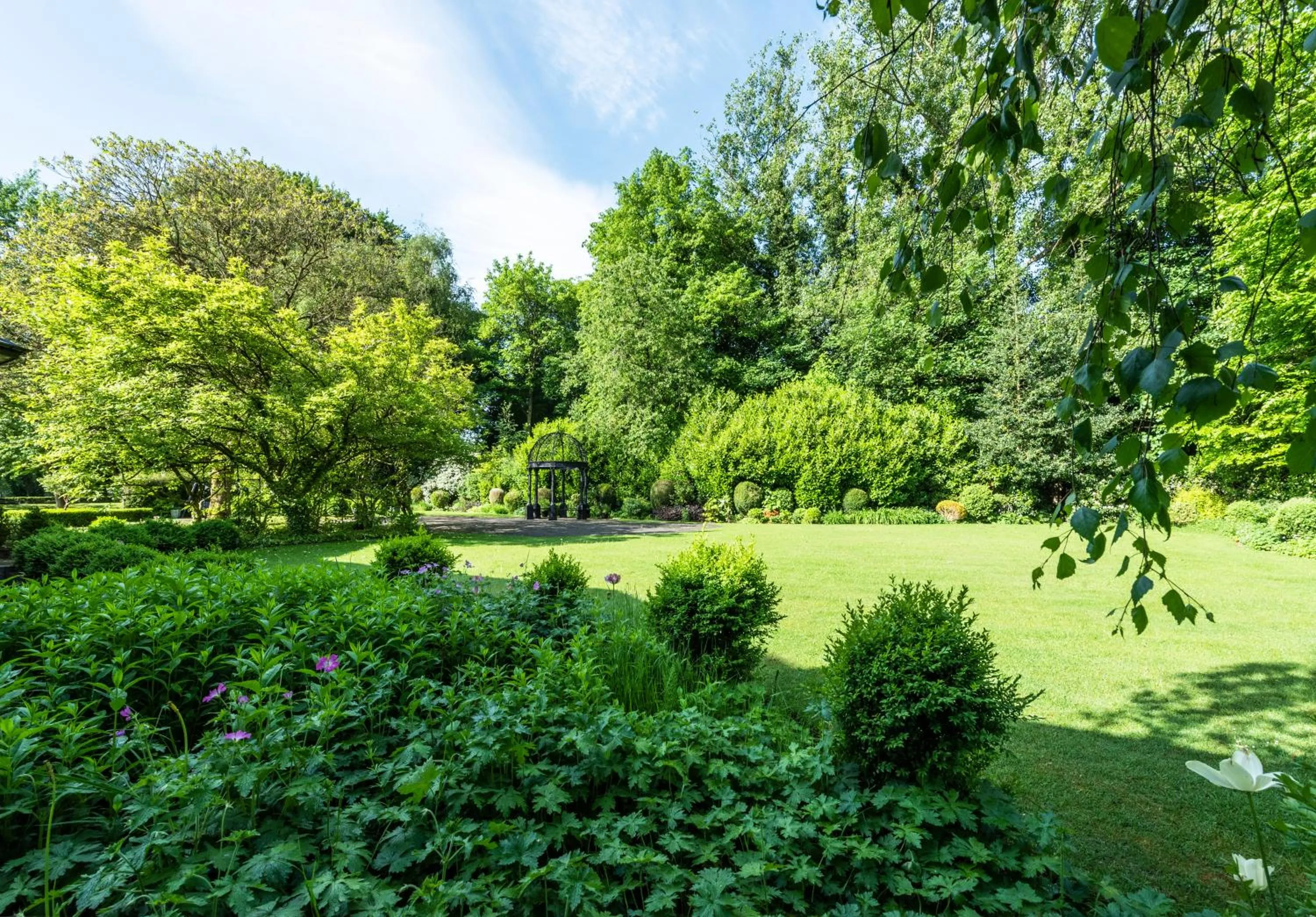 Natural landscape in Statham Lodge Hotel