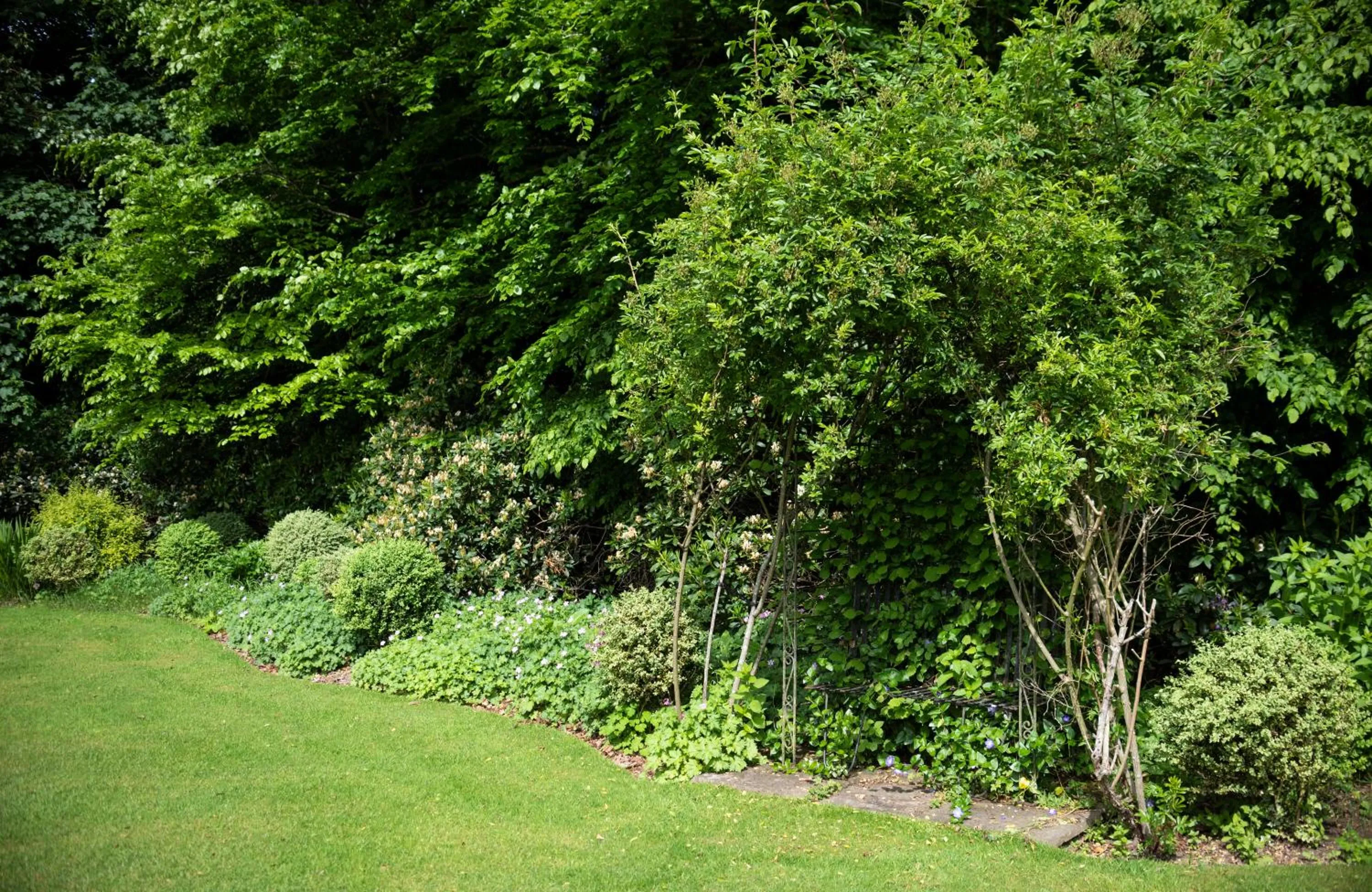 Natural landscape in Statham Lodge Hotel