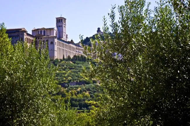 Area and facilities in Country House Carfagna