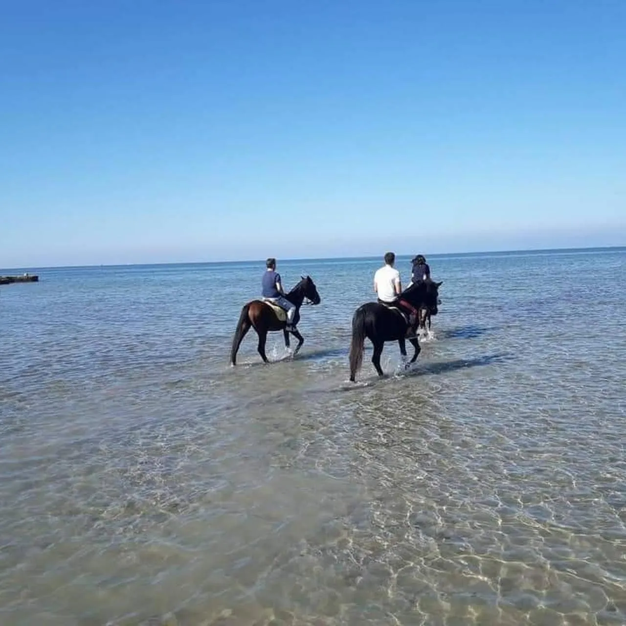 Horse-riding in Kite House Marsala Stagnone