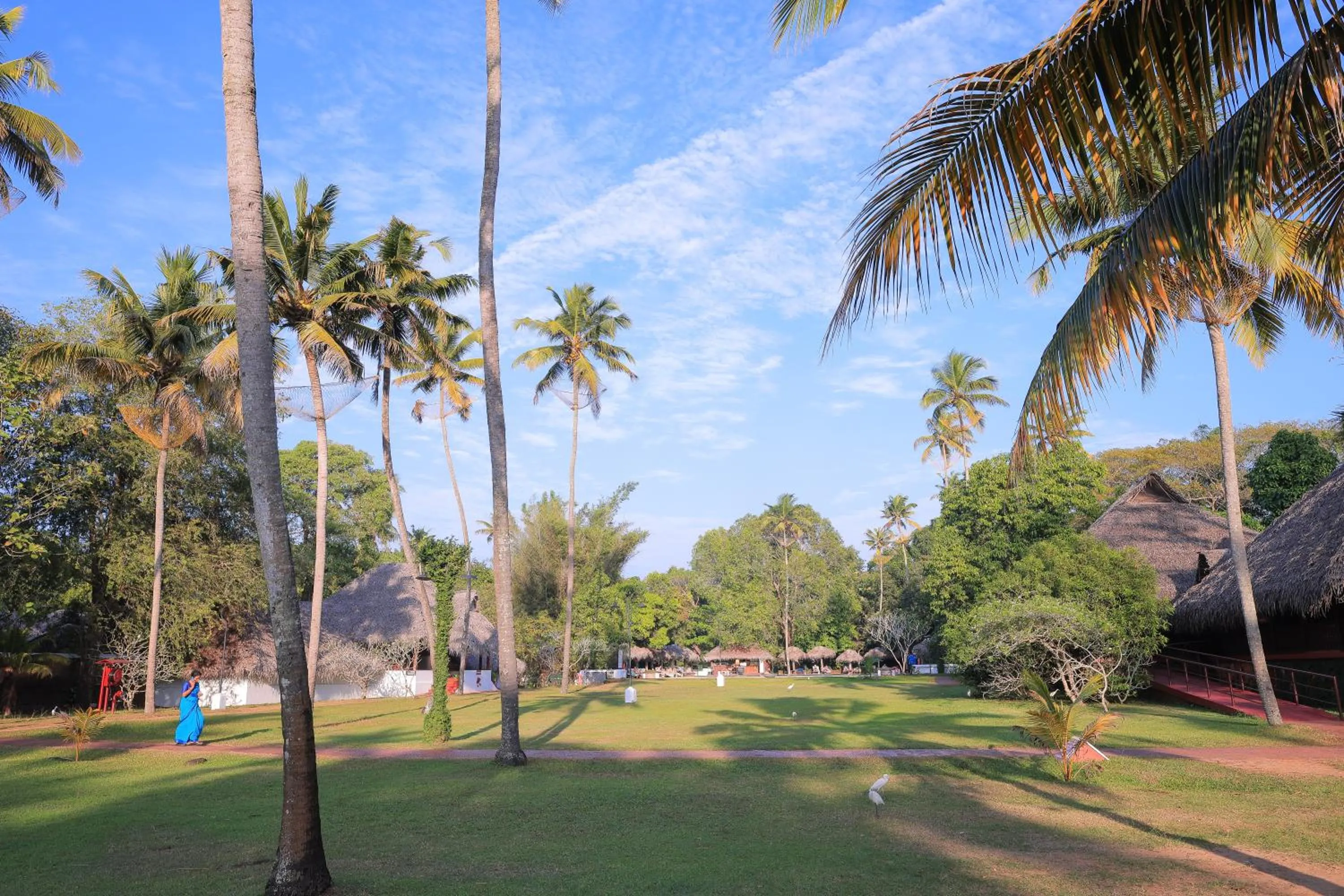 Natural landscape in Marari Beach Resort Alleppey - A CGH Earth Experience