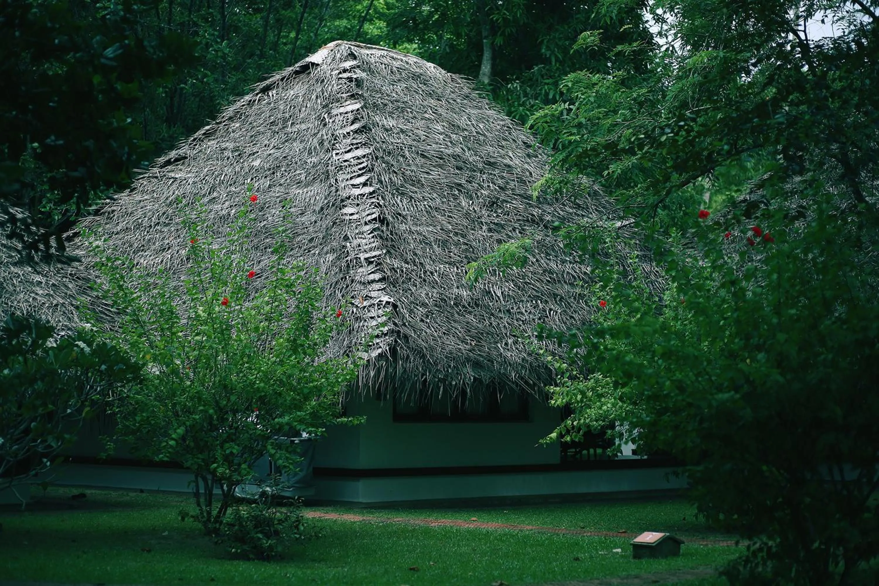 Other in Marari Beach Resort Alleppey - A CGH Earth Experience