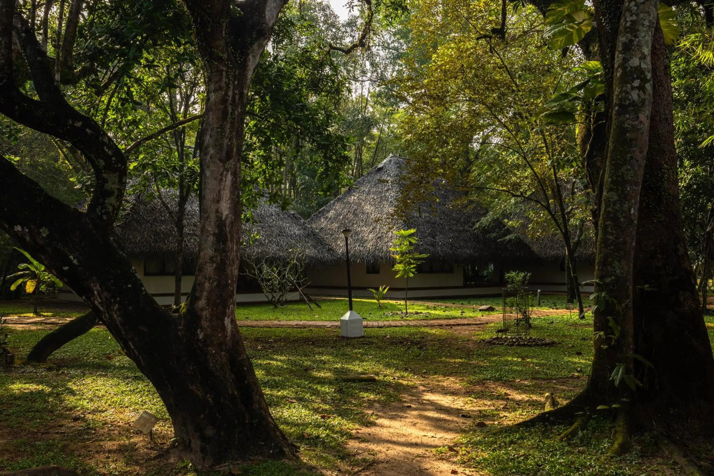 Day in Marari Beach Resort Alleppey - A CGH Earth Experience