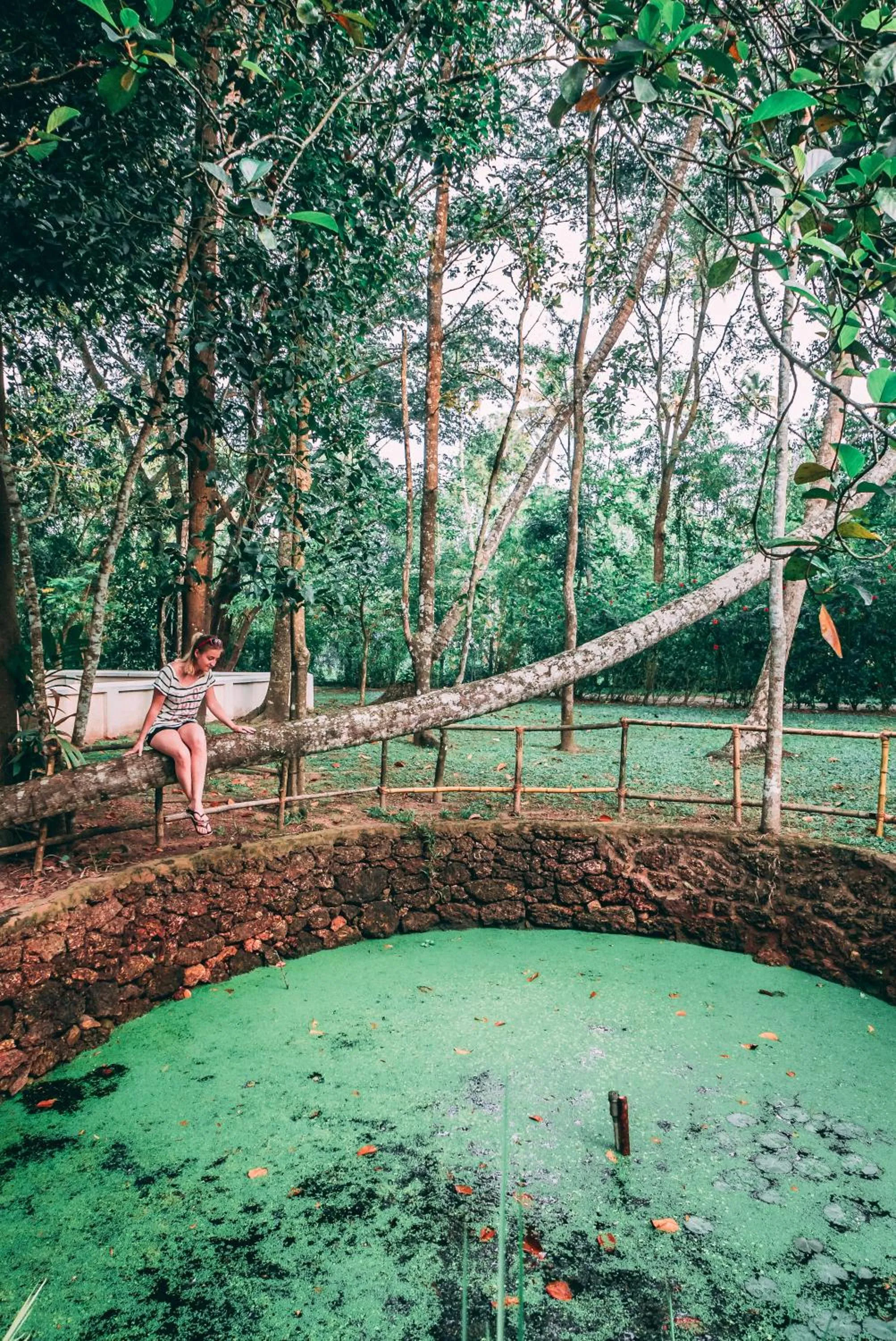 Natural landscape in Marari Beach Resort Alleppey - A CGH Earth Experience