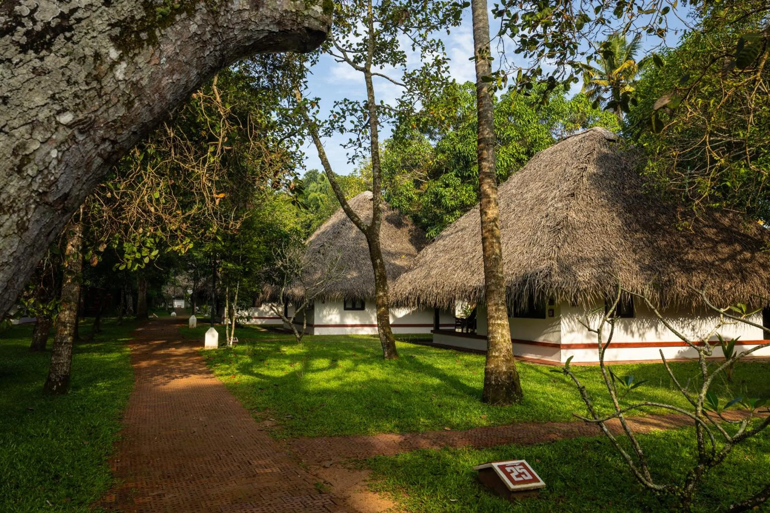 Garden in Marari Beach Resort Alleppey - A CGH Earth Experience