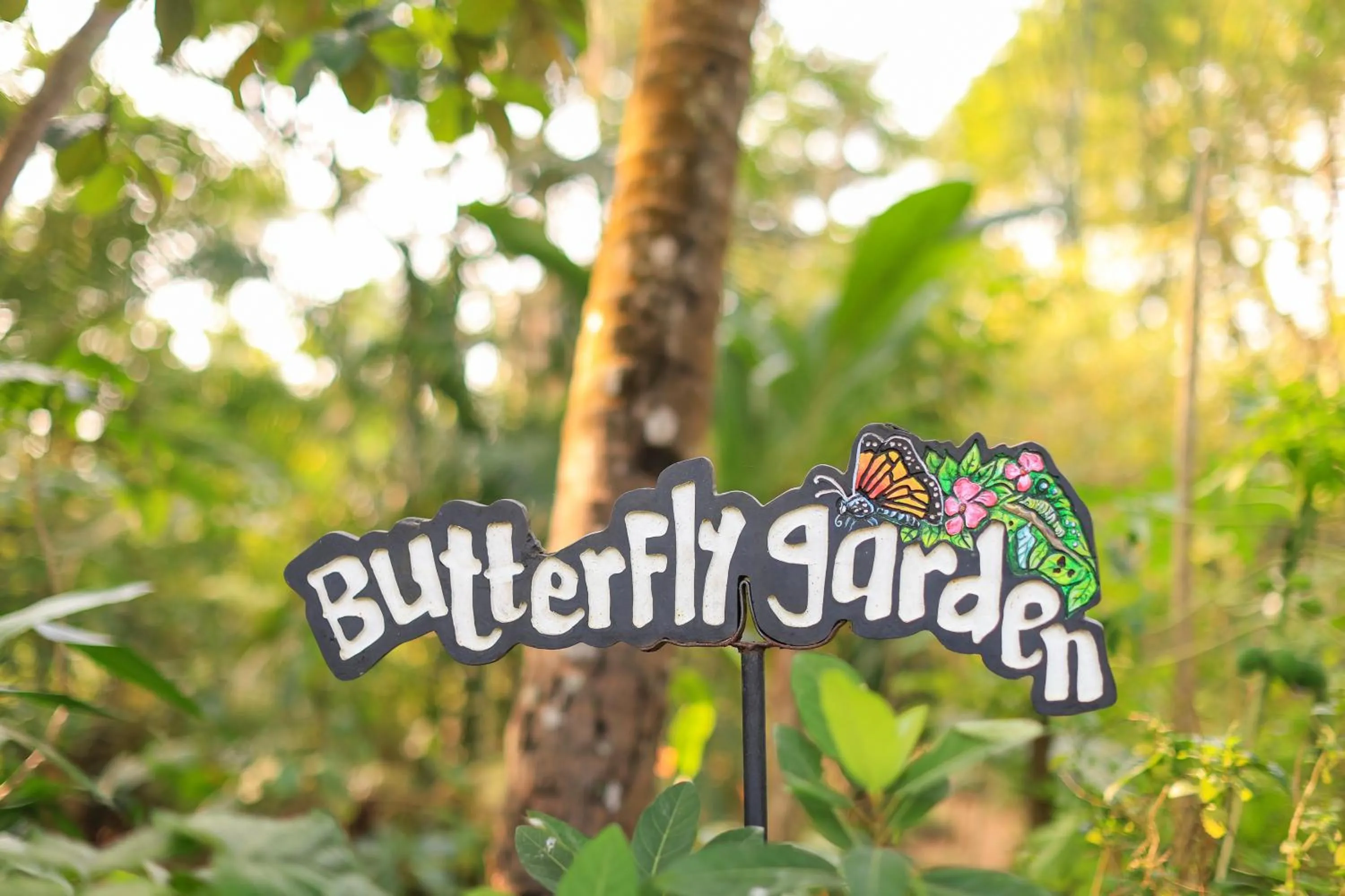 Activities in Marari Beach Resort Alleppey - A CGH Earth Experience