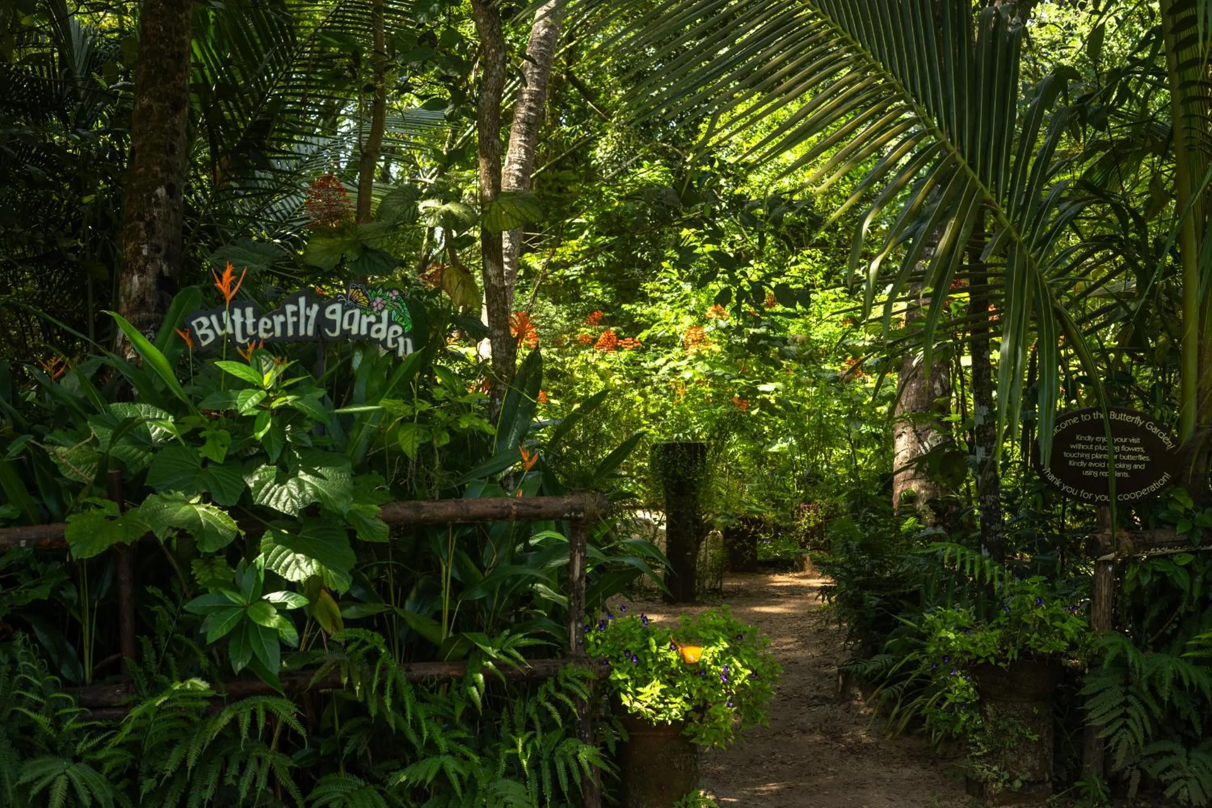 Garden view in Marari Beach Resort Alleppey - A CGH Earth Experience