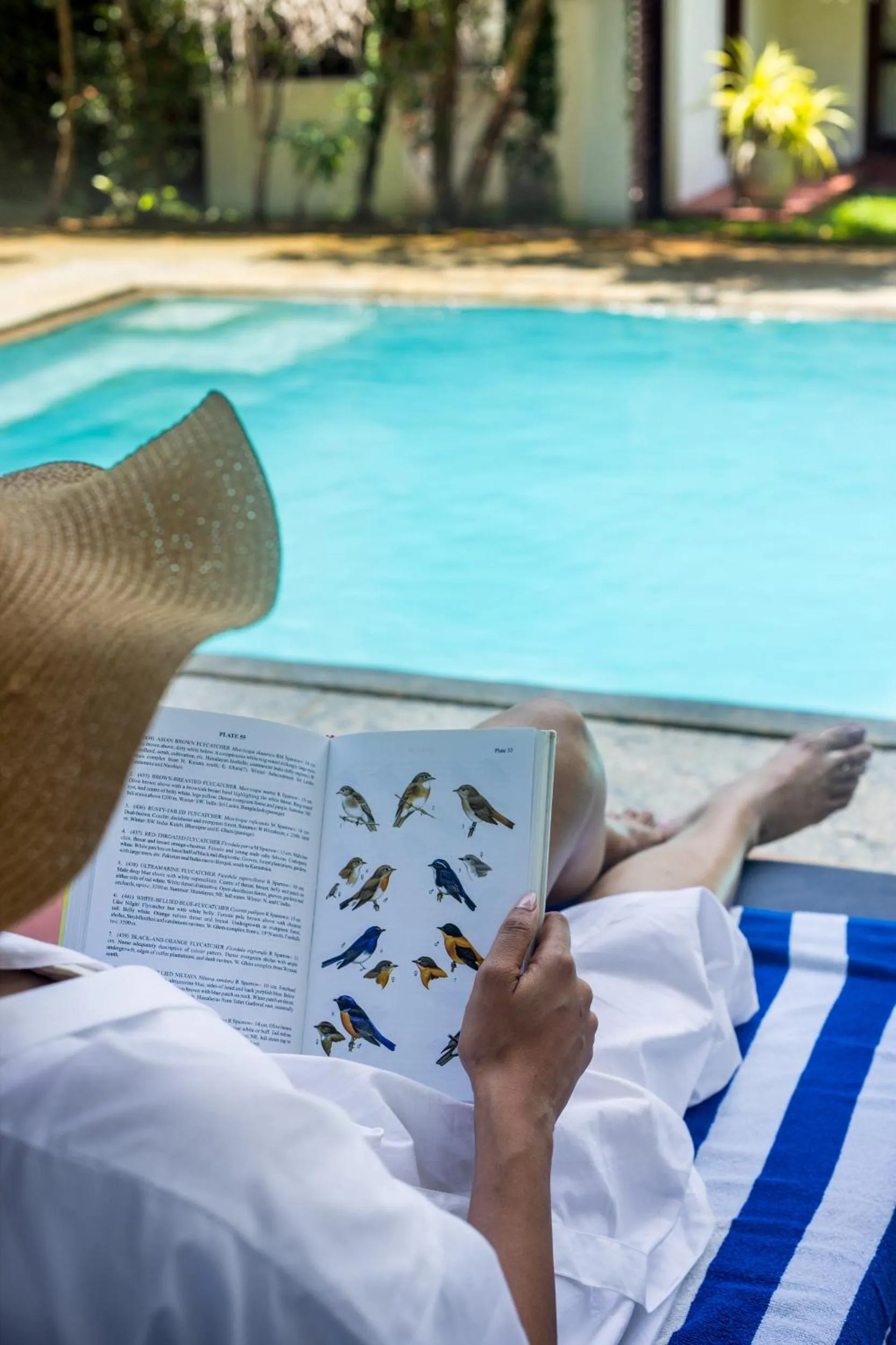 Pool view in Marari Beach Resort Alleppey - A CGH Earth Experience