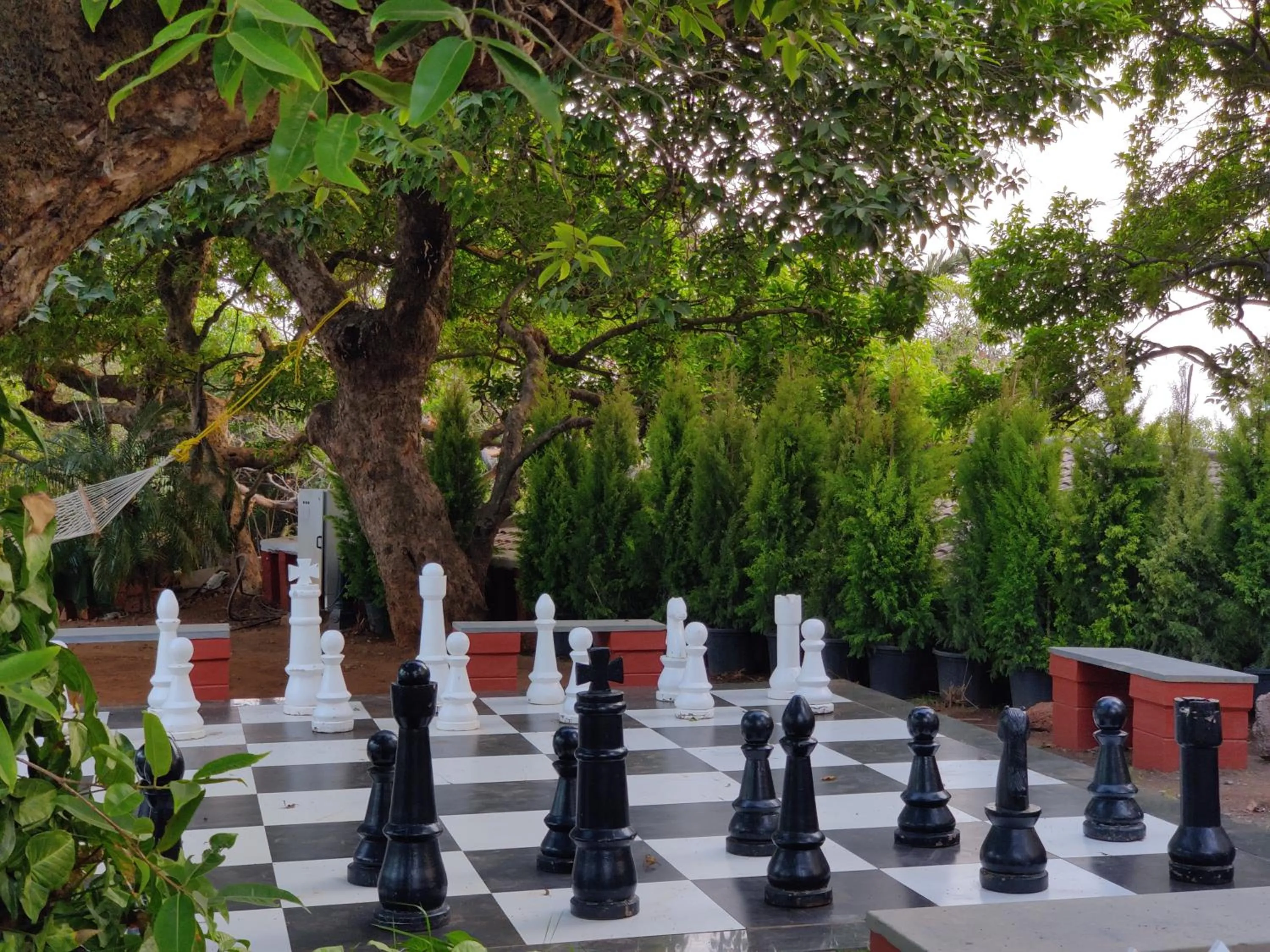 Activities in Chambers Mahabaleshwar, A Club Mahindra Associate Resort