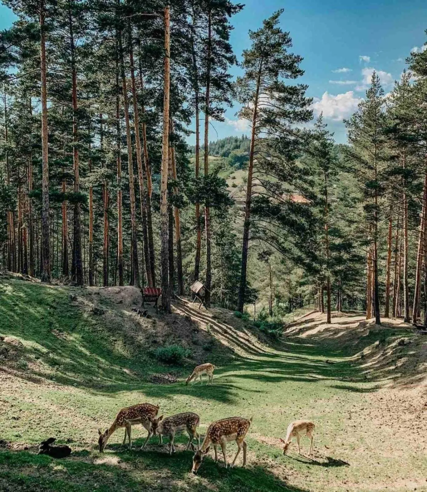 Natural landscape in Aurora Resort & Spa