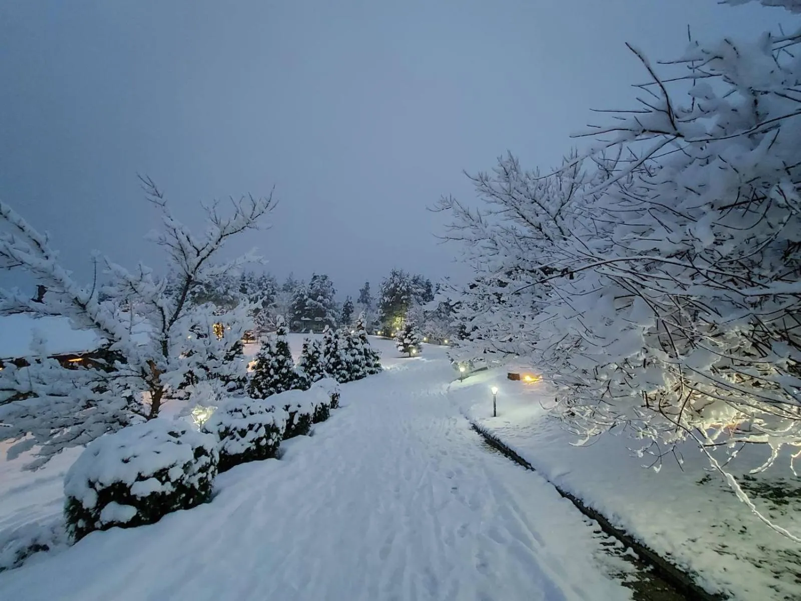 Natural landscape in Aurora Resort & Spa