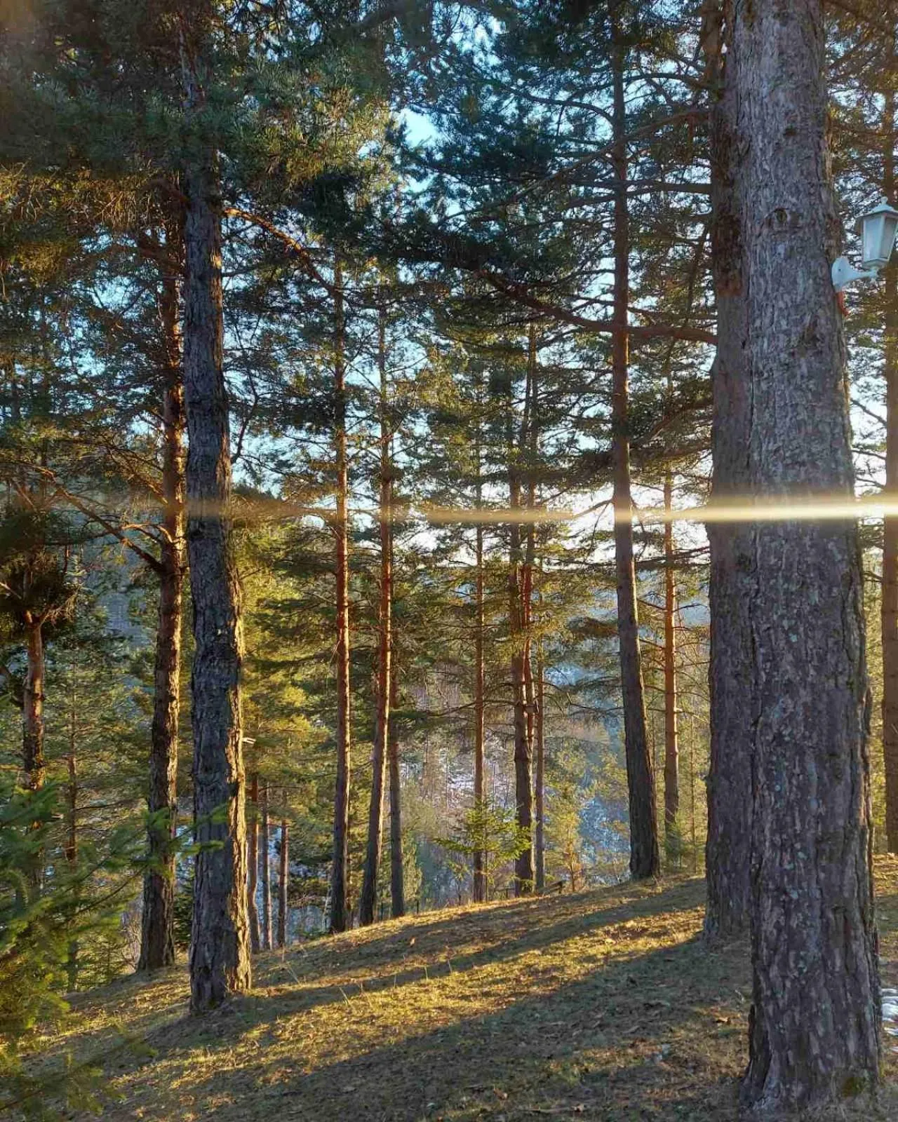 Natural landscape in Aurora Resort & Spa