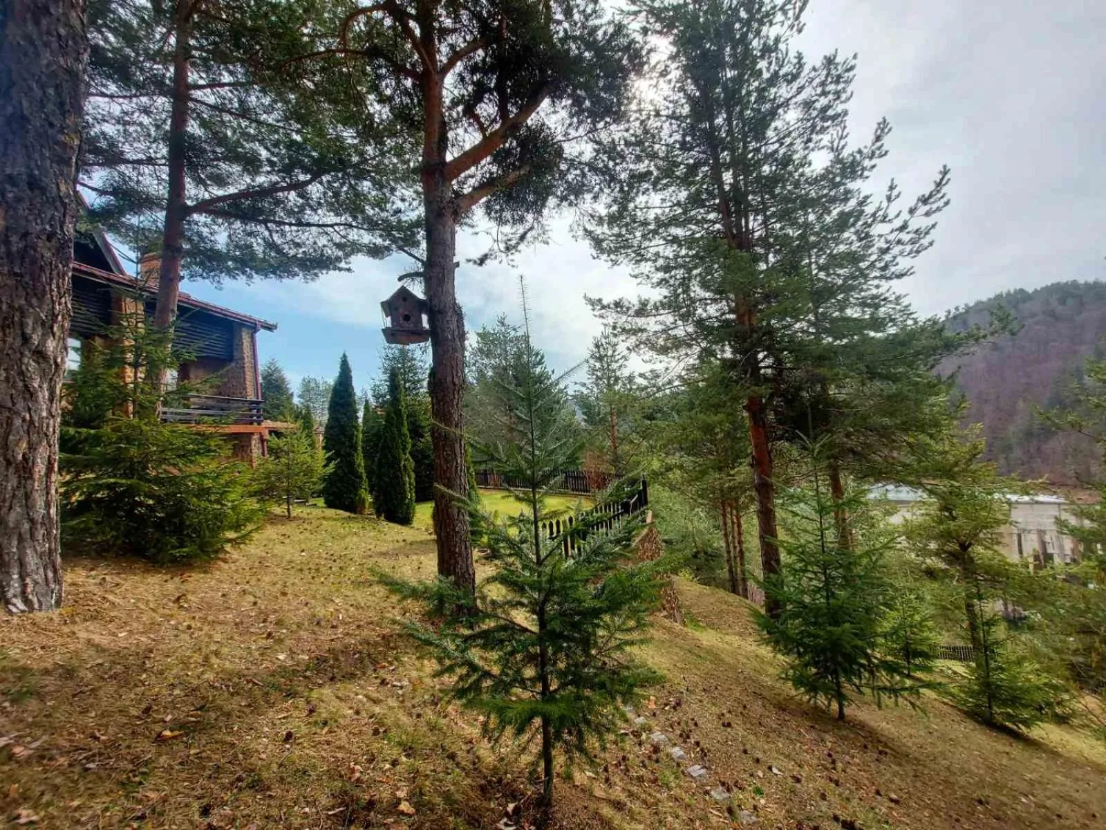 Natural landscape in Aurora Resort & Spa
