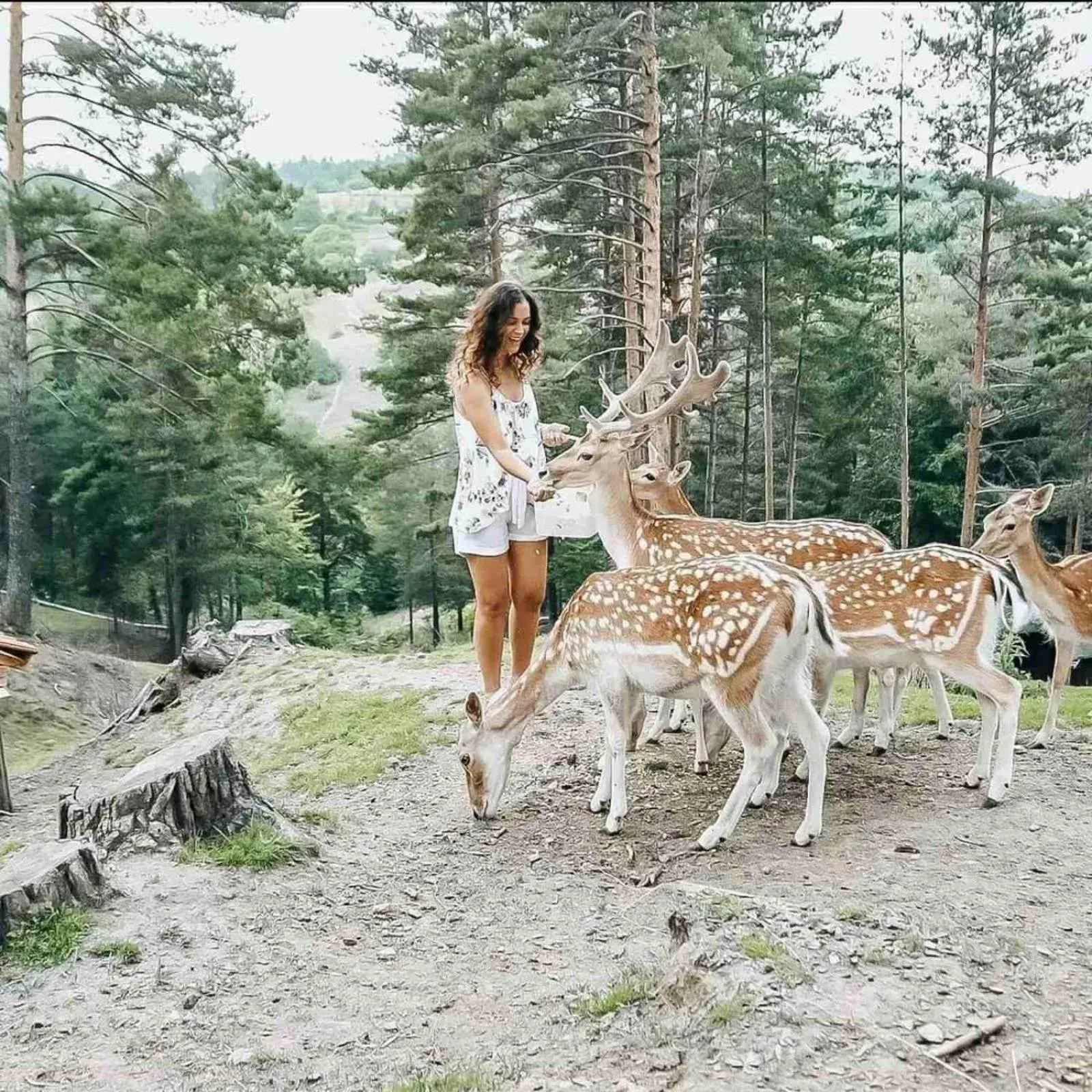 Activities in Aurora Resort & Spa