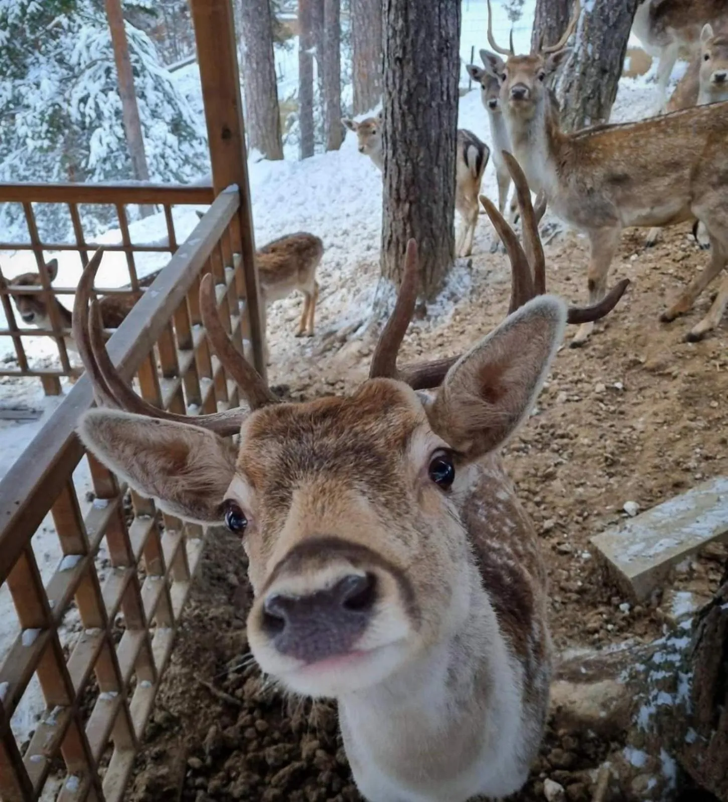 Activities in Aurora Resort & Spa