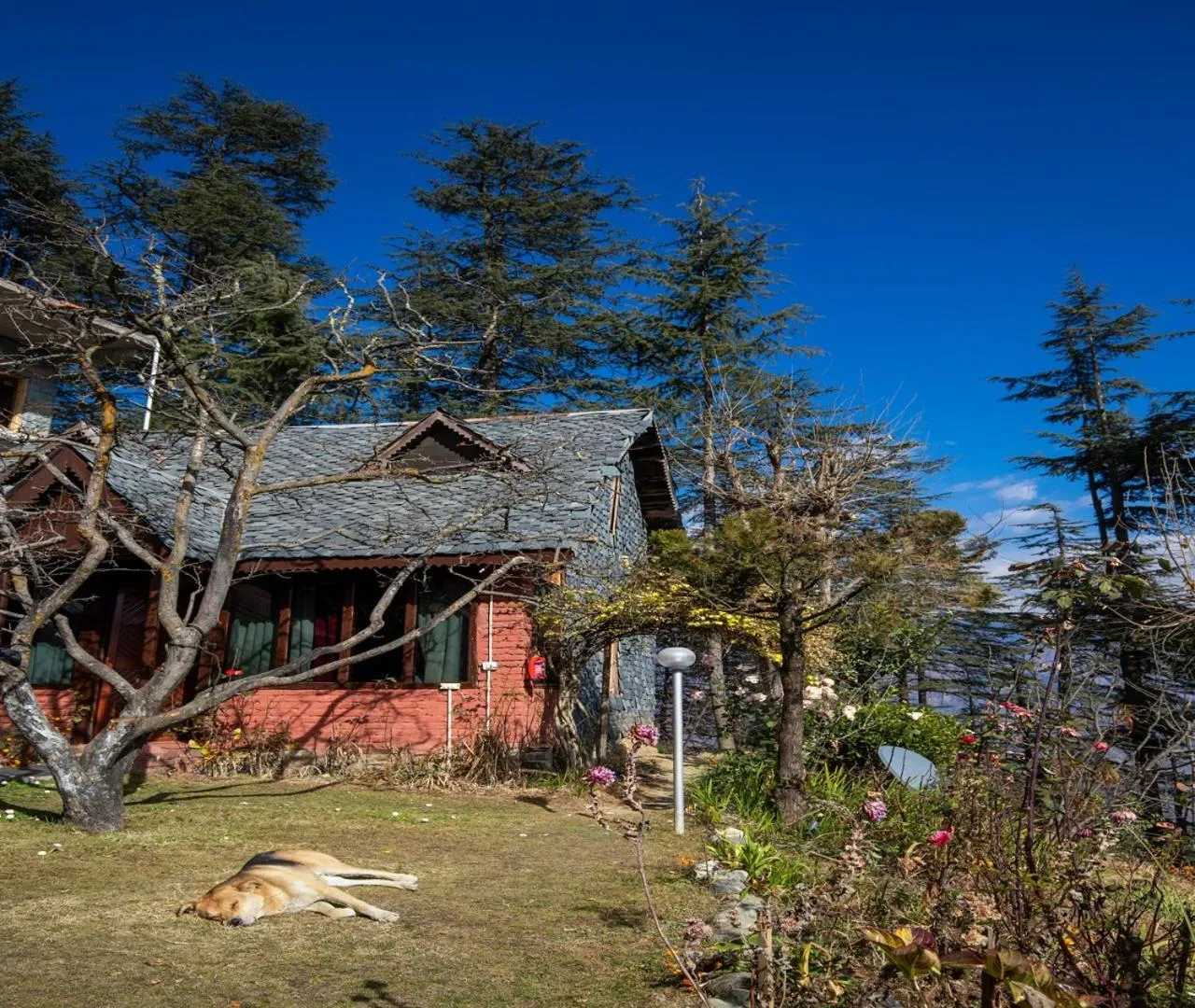 Ishan Log Huts-A boutique home stay
