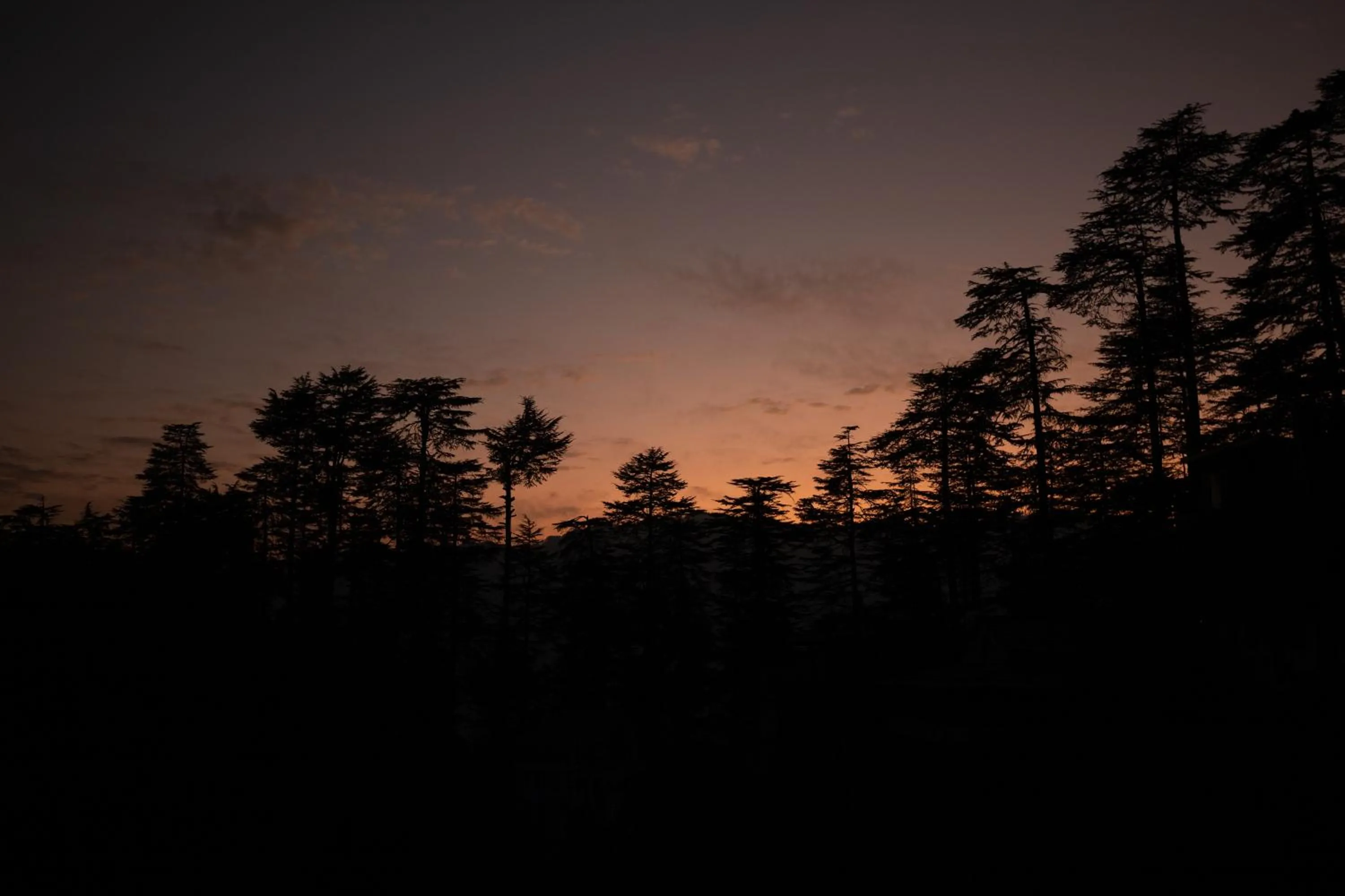View (from property/room) in Ishan Log Huts-A boutique home stay