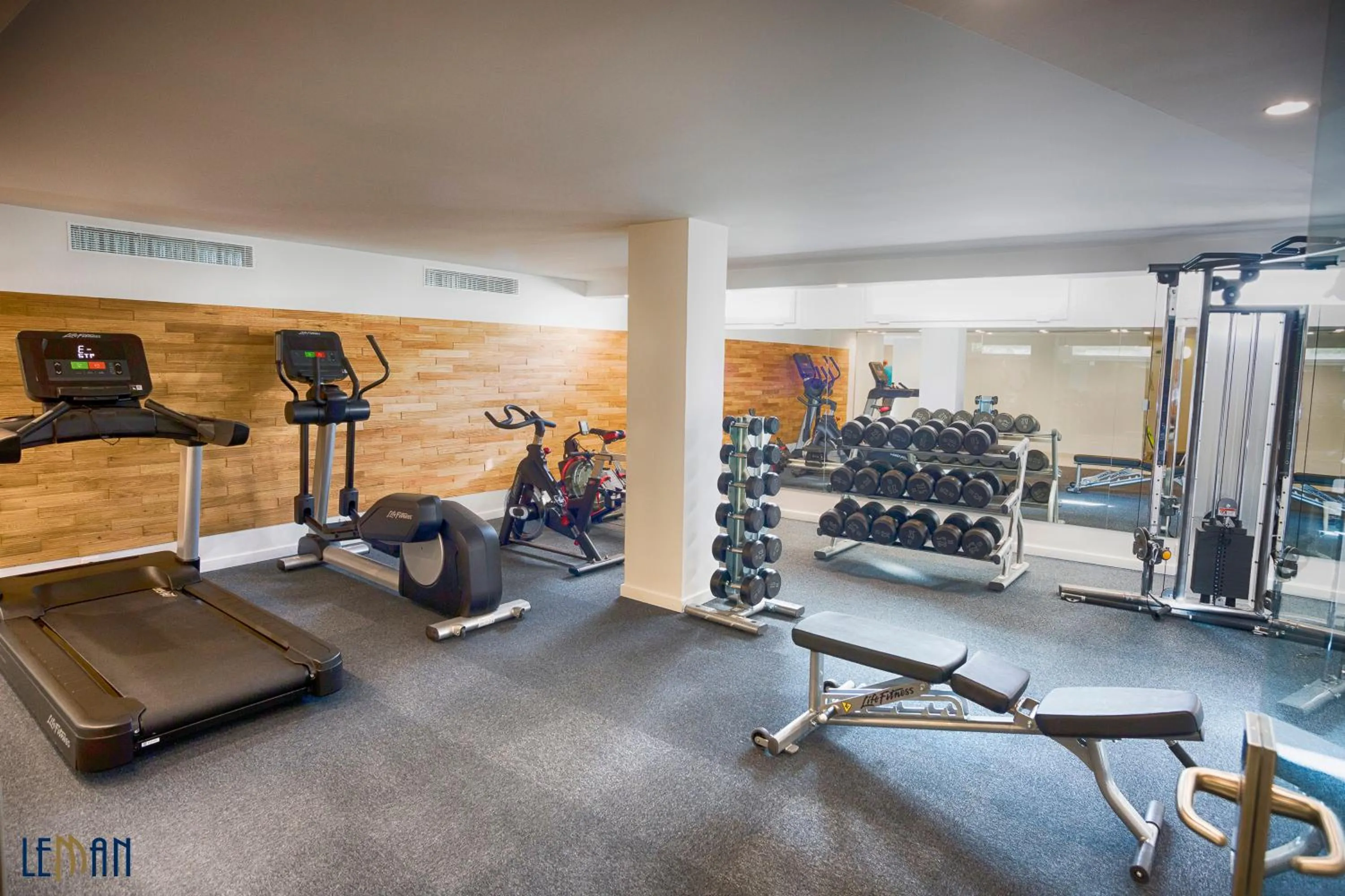 Fitness centre/facilities in Leman Hotel y Apartamentos