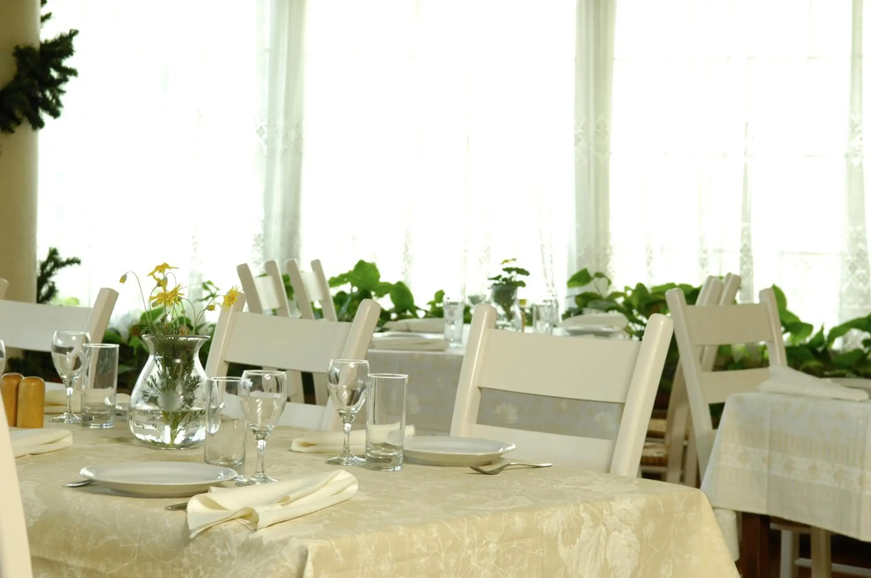 Restaurant/places to eat in Cleopatra Hotel Restaurant/places to eat in Cleopatra Hotel