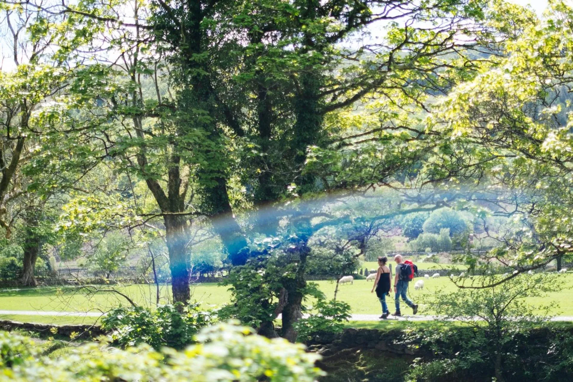 Neighbourhood in Ty Afon - River House