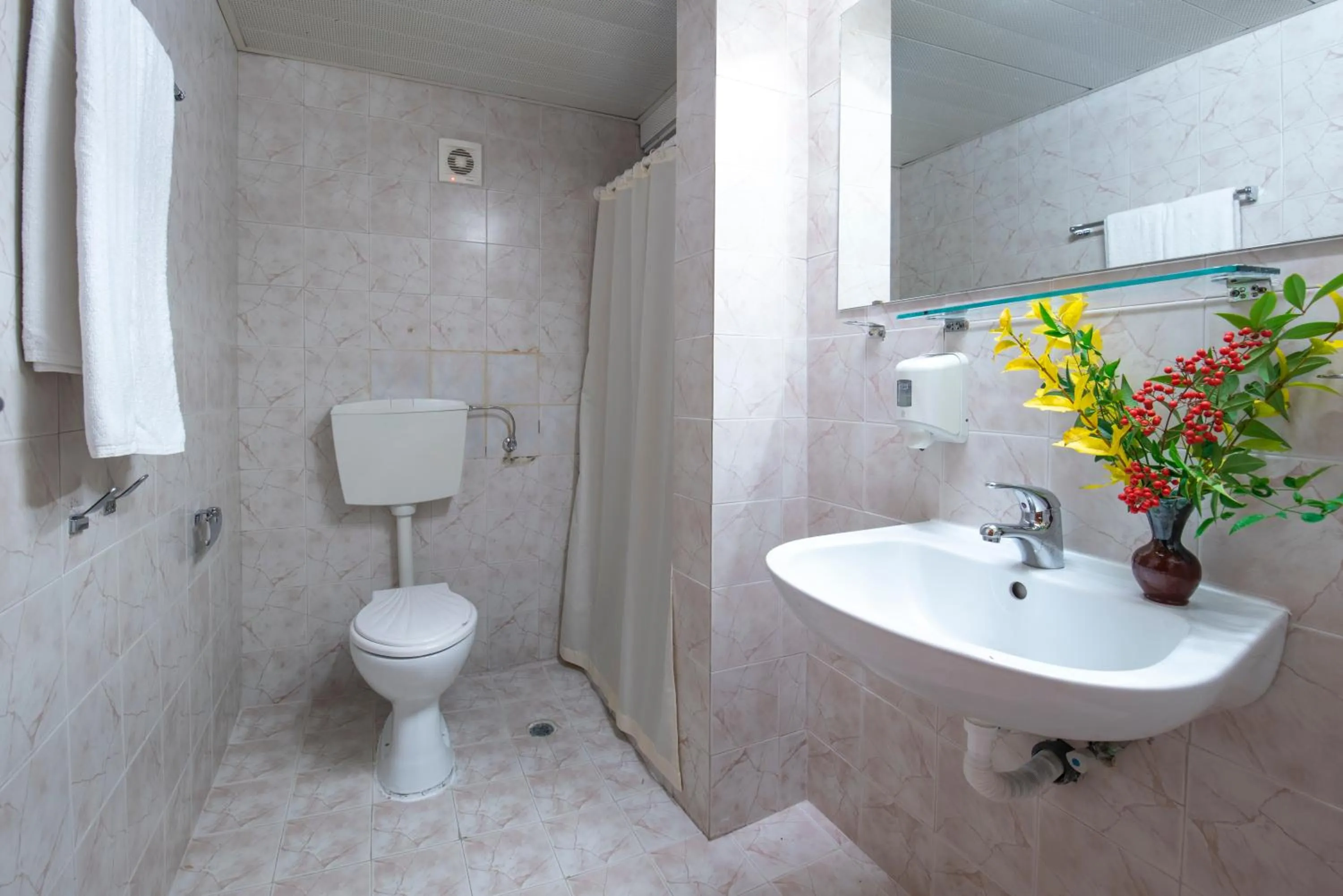 Toilet in Hotel Iskar & Aquapark - All Inclusive