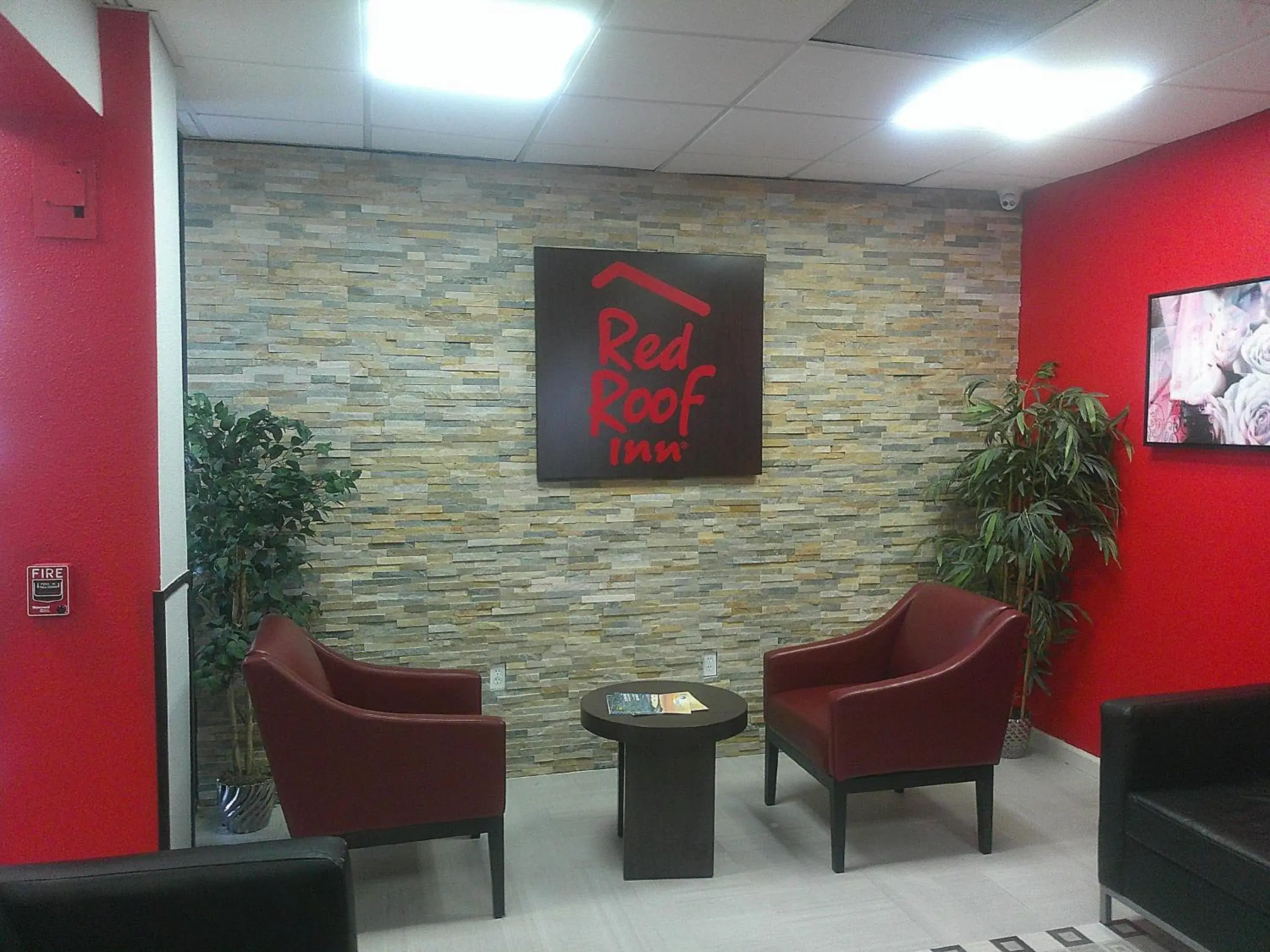 Lobby or reception in Red Roof Inn Corpus Christi North - Near Downtown Lobby or reception in Red Roof Inn Corpus Christi North - Near Downtown