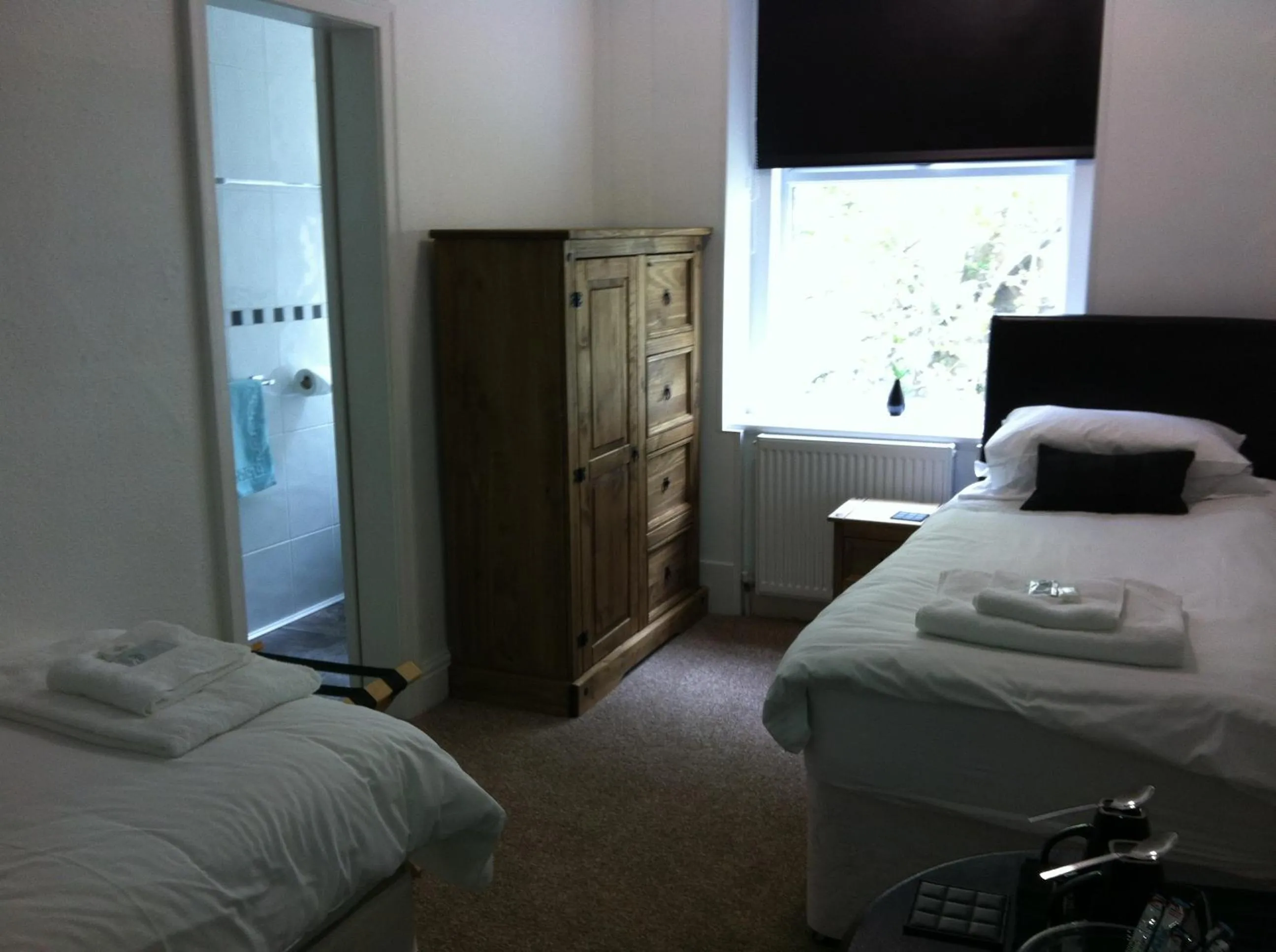 Standard Twin Room in Edelweiss Guest House